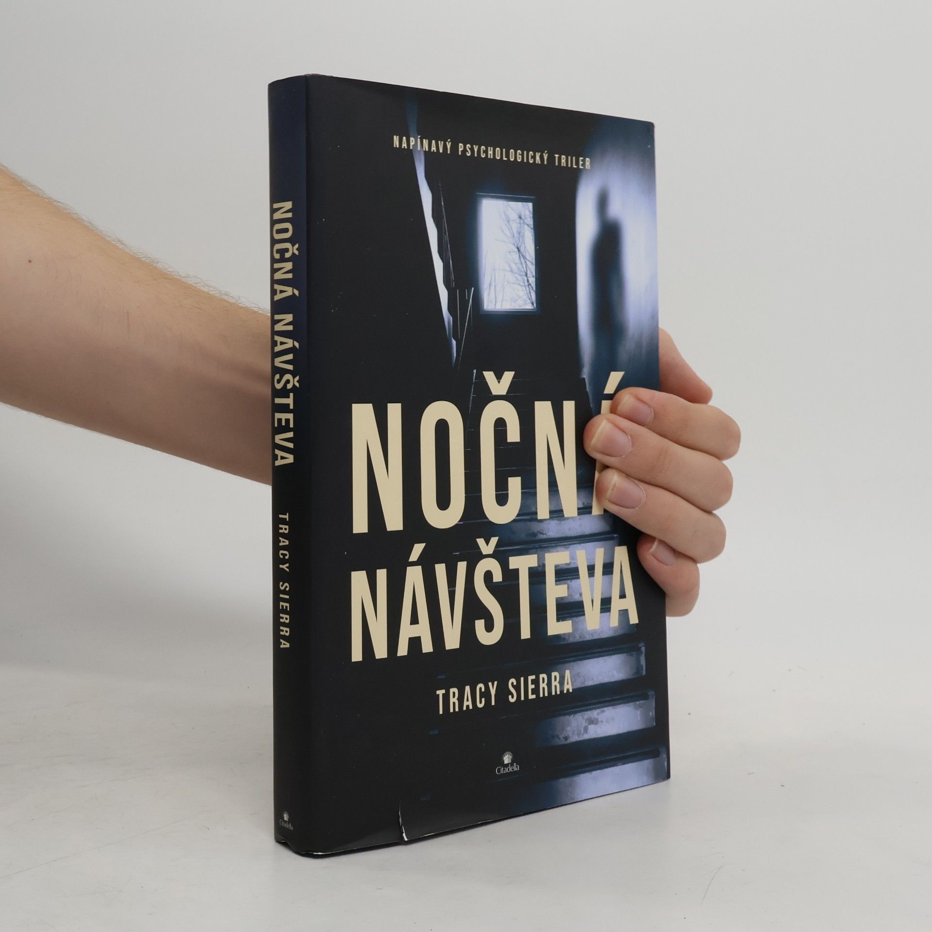 Tracy Sierra Nočná návšteva