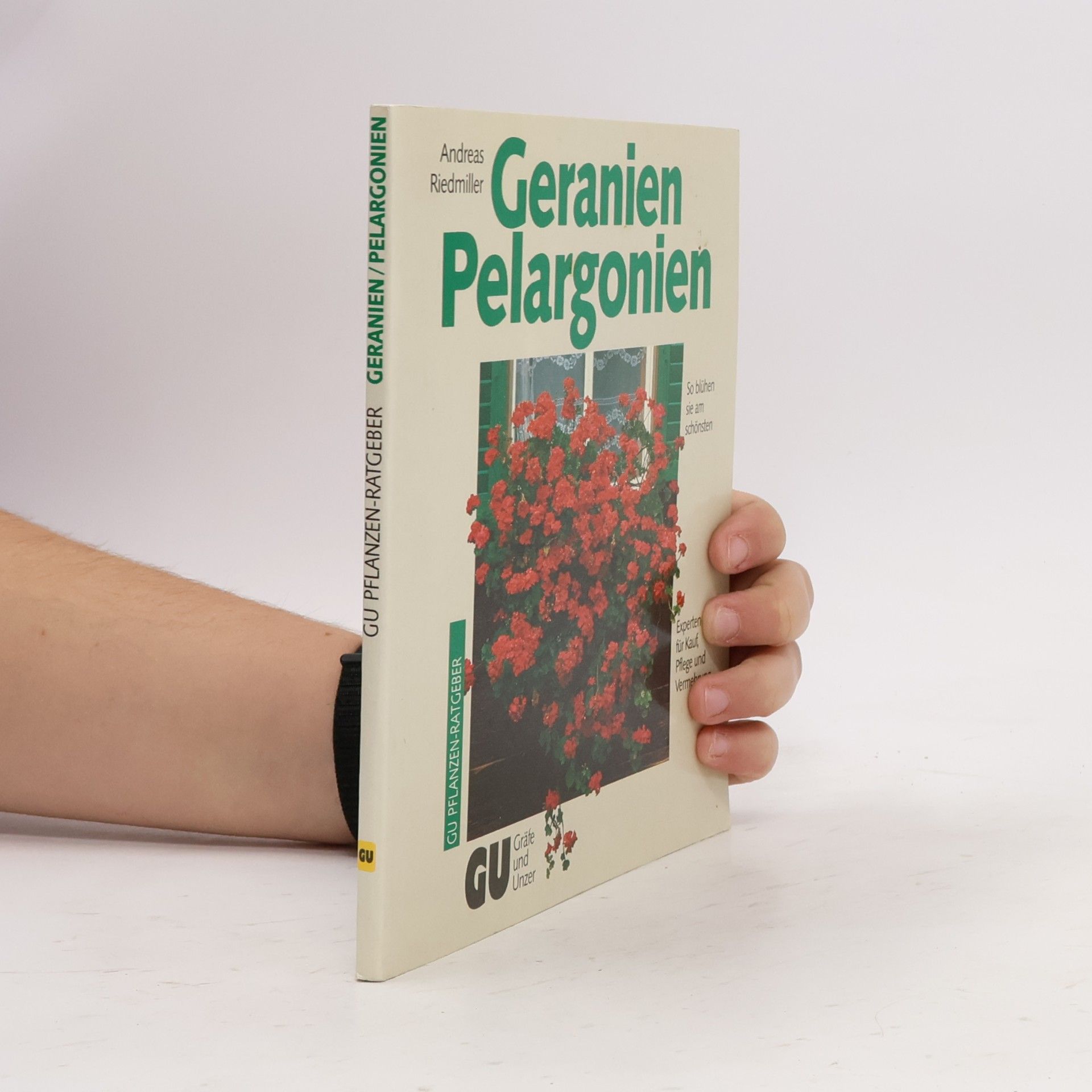 Geranien Pelargonien