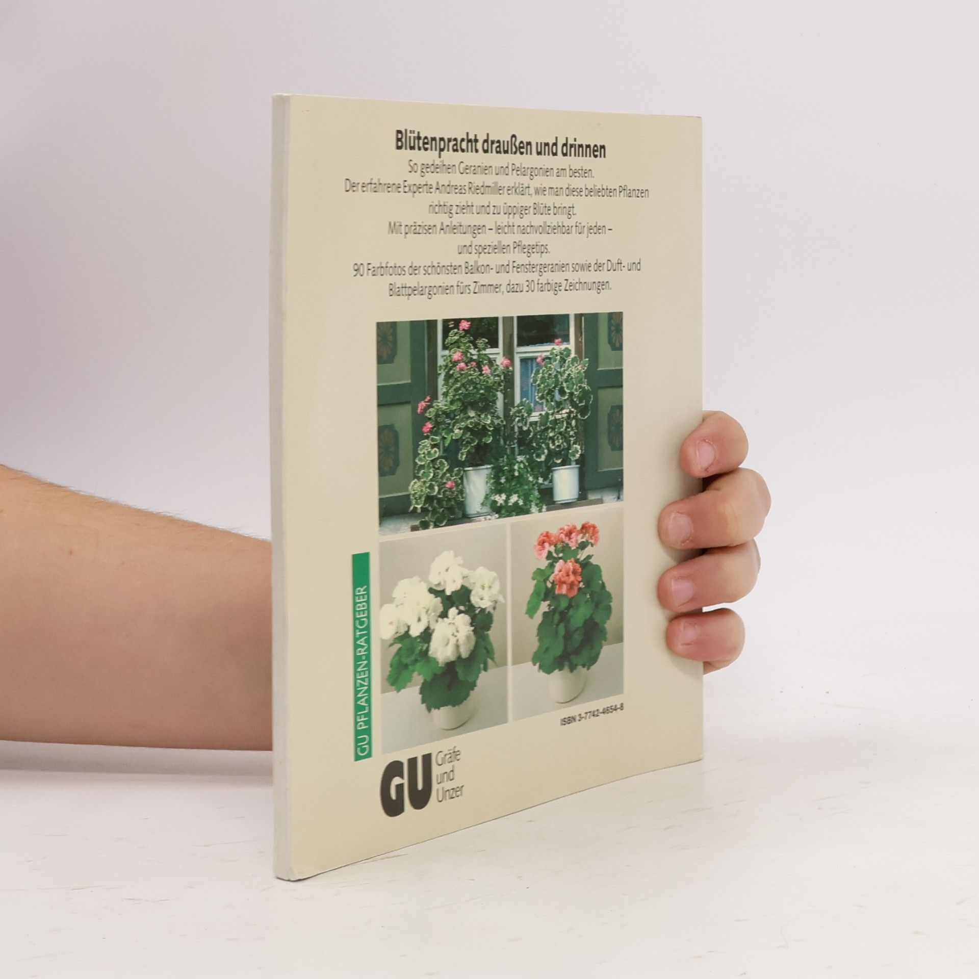 Andreas Riedmiller Geranien Pelargonien