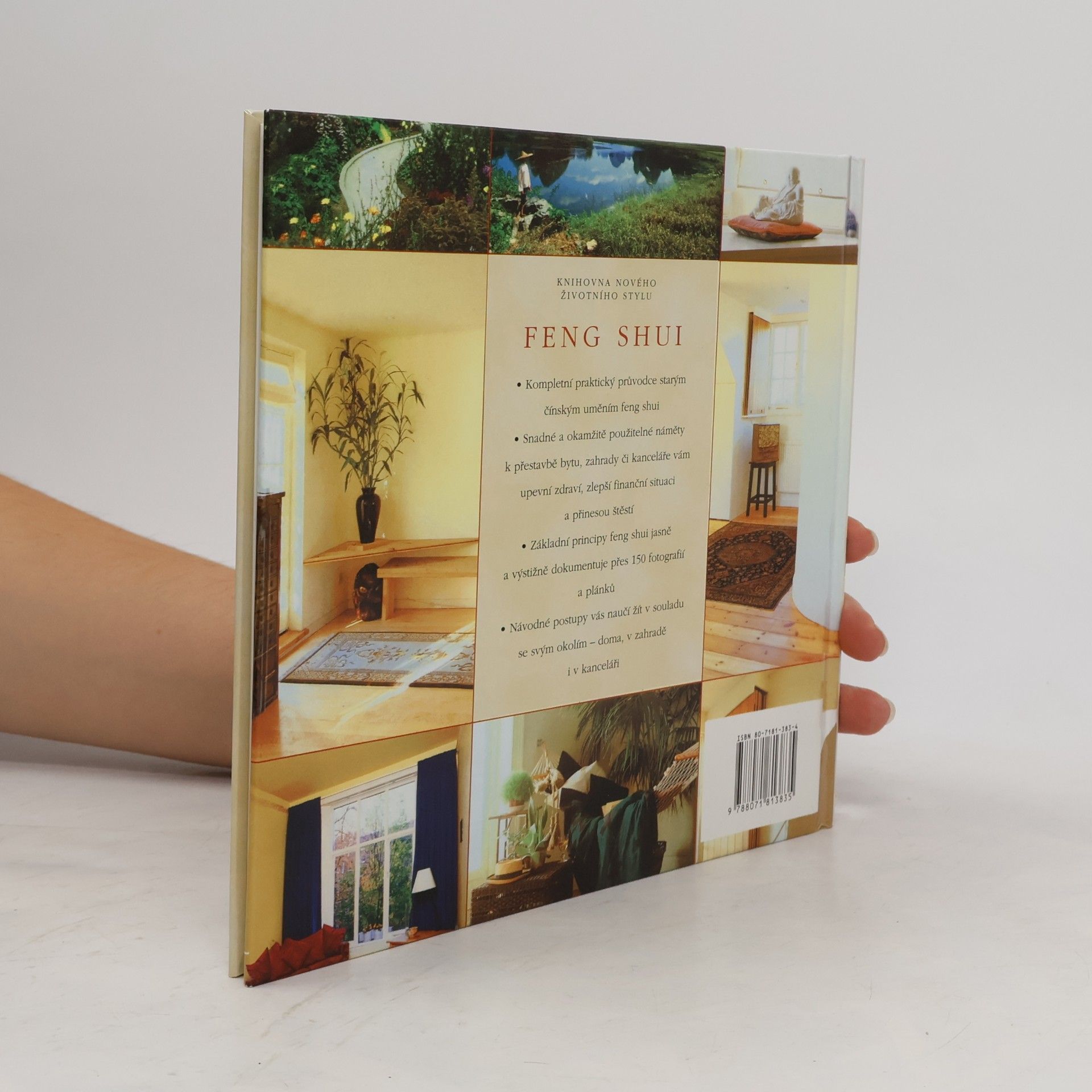 Richard Templar Feng shui