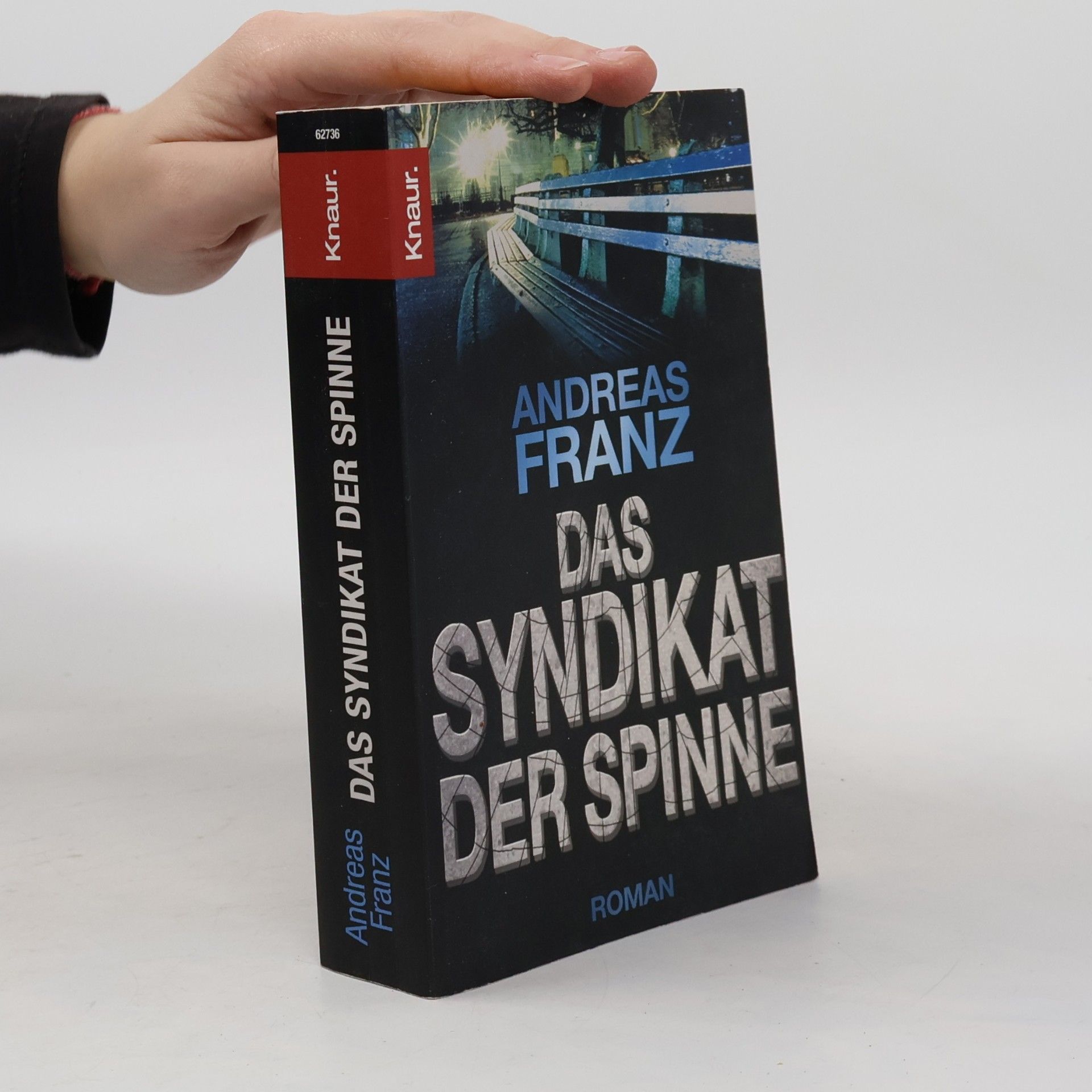 Das Syndikat der Spinne