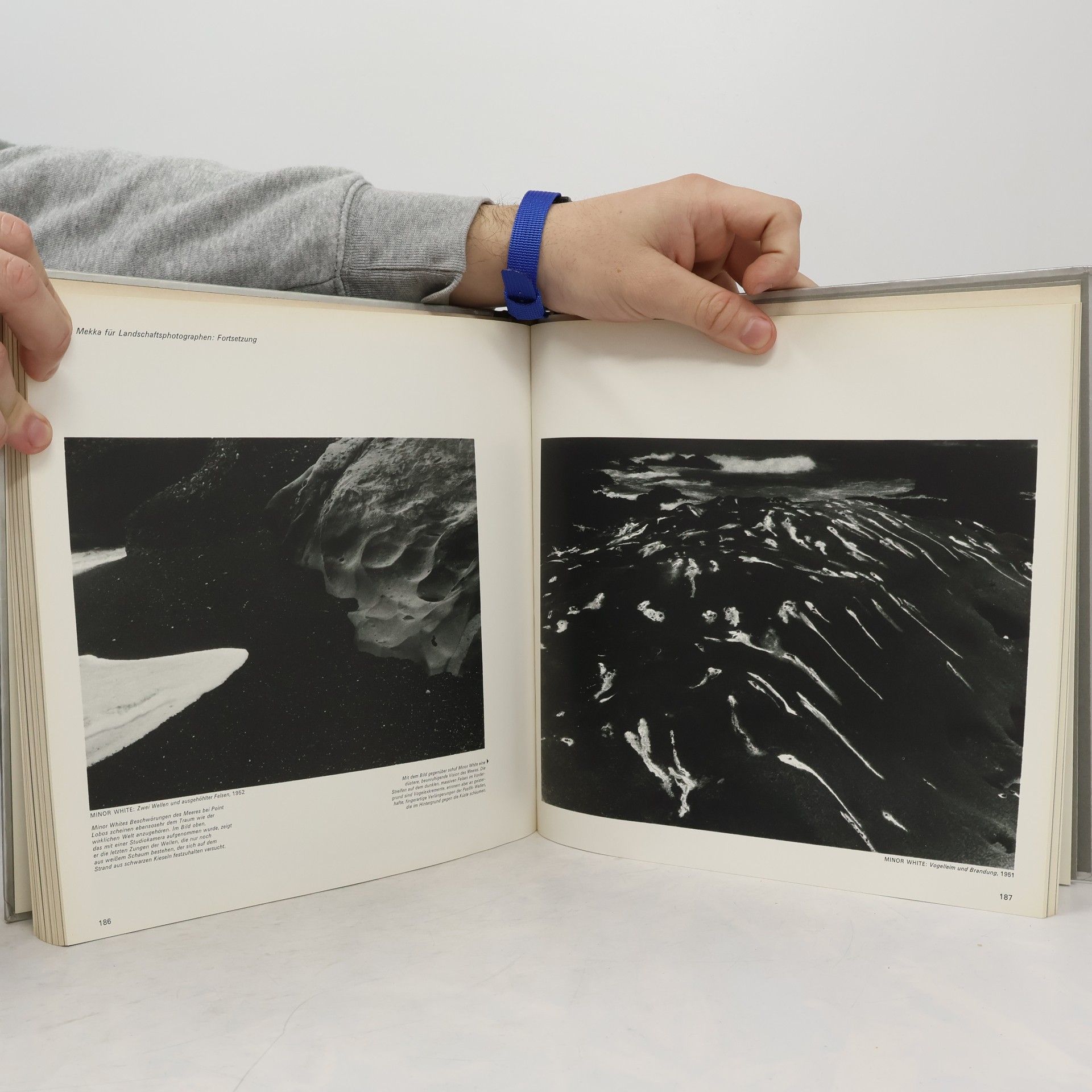 Hans Peter LIFE Die Photographie: Die klassischen Themen