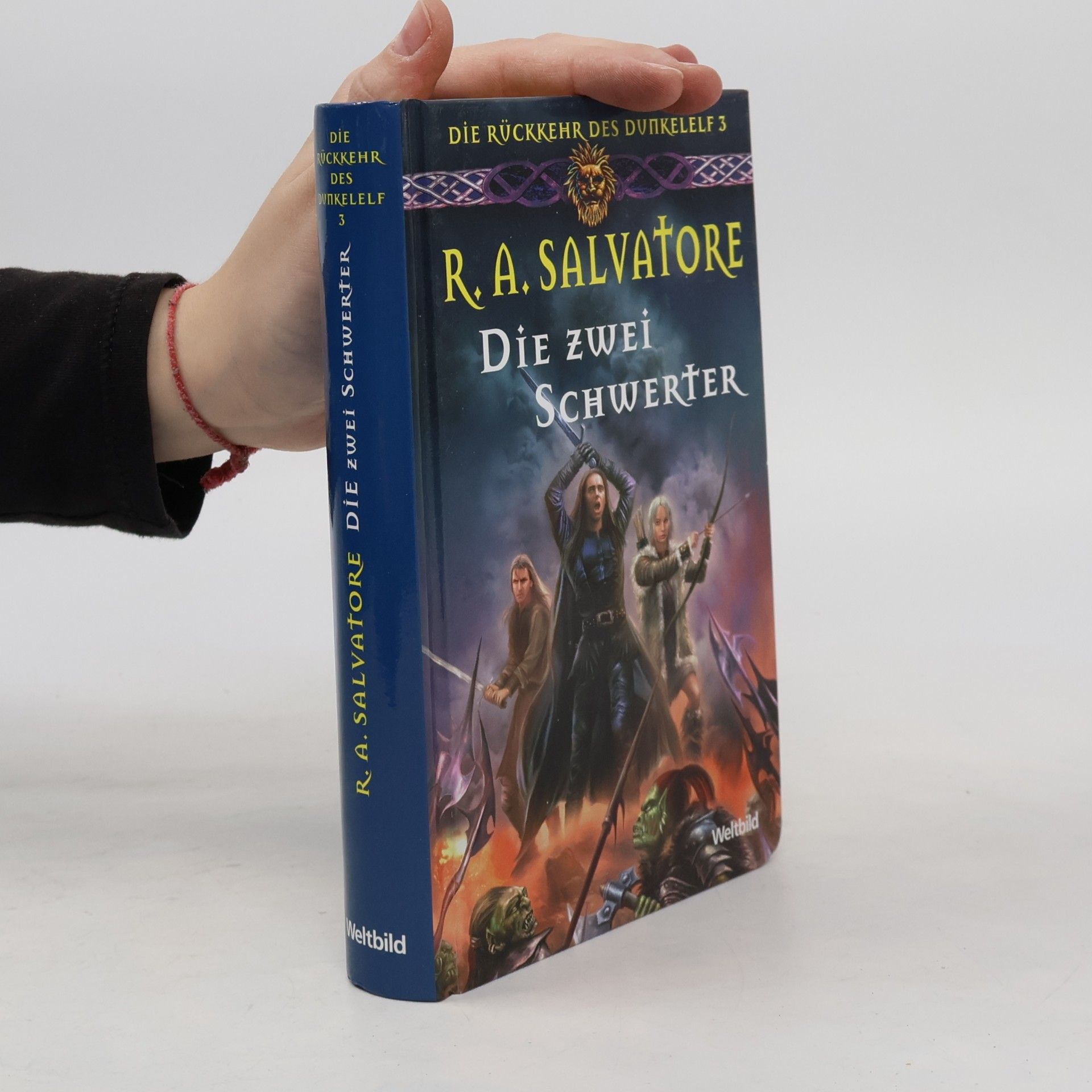 Robert Anthony Salvatore Die zwei Schwerter