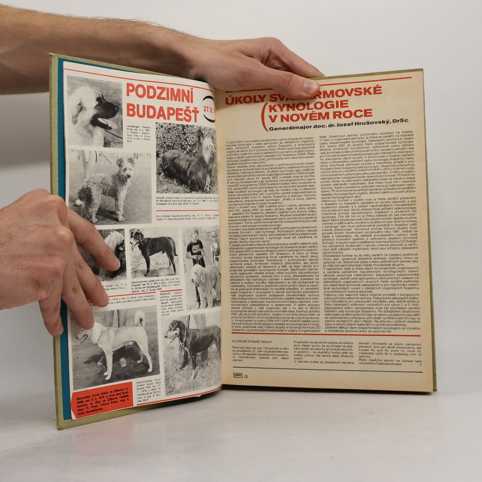 kolektiv Pes, přítel člověka 1982