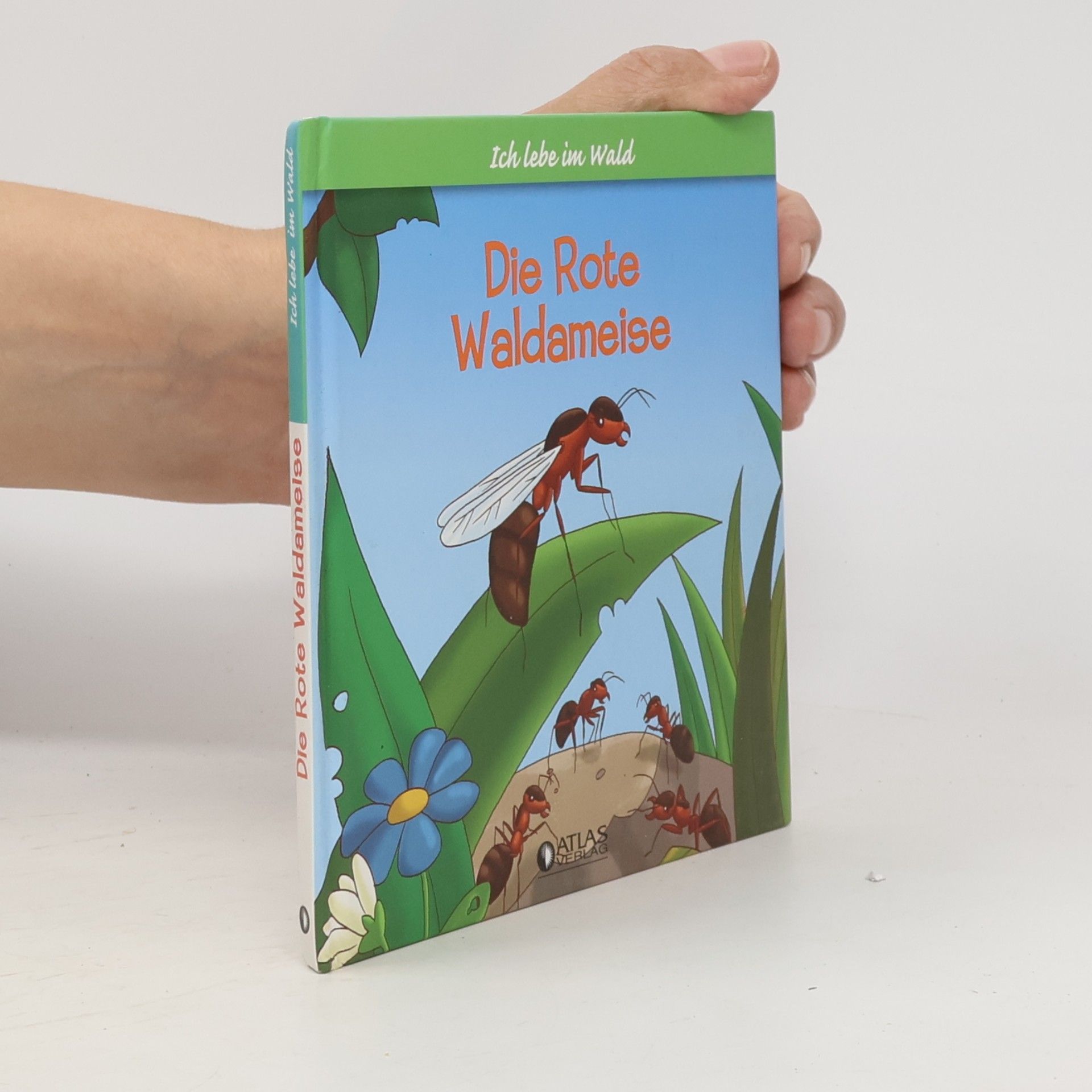 Kolektiv autorů Ich lebe im Wald. Die Rote Waldameise