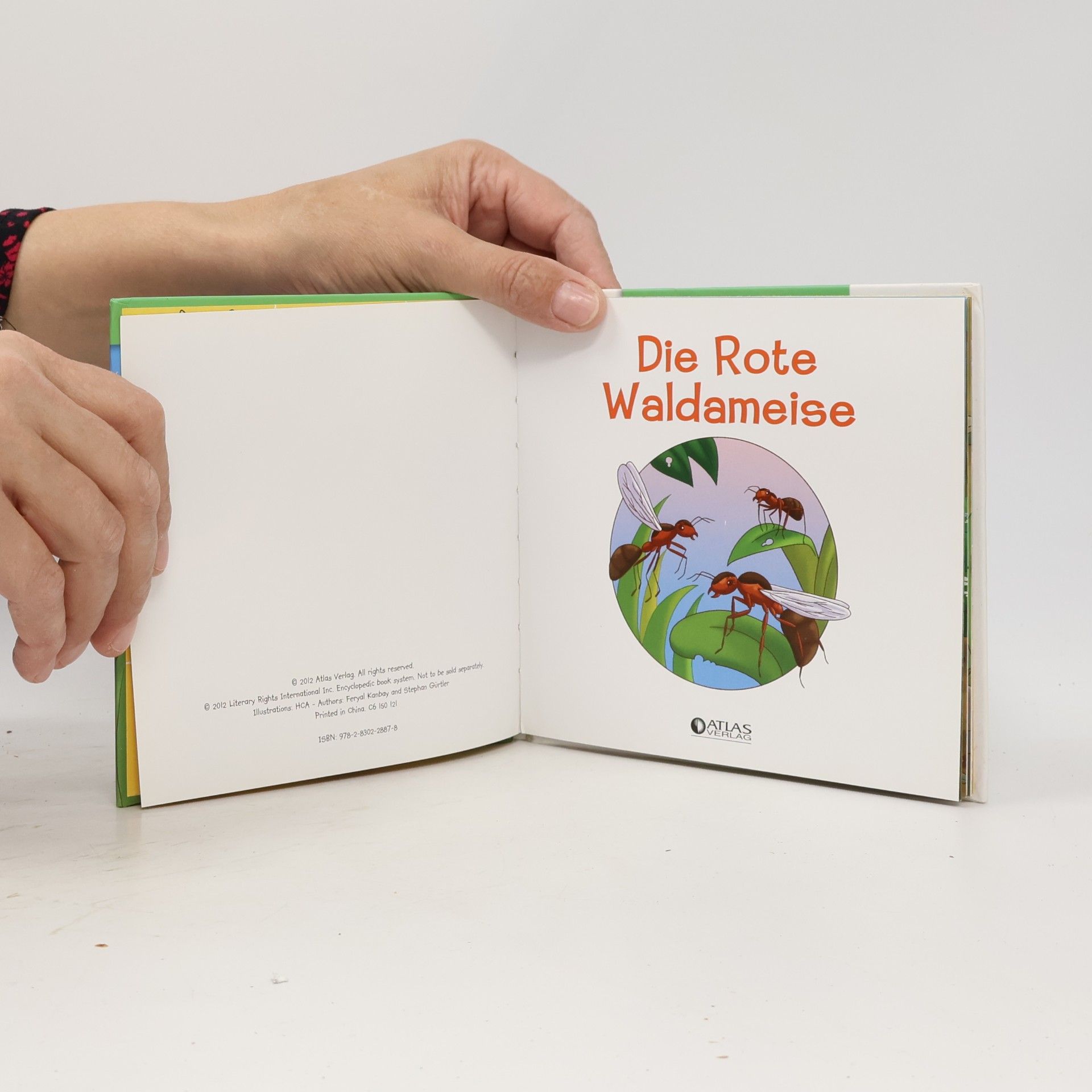 Kolektiv autorů Ich lebe im Wald. Die Rote Waldameise