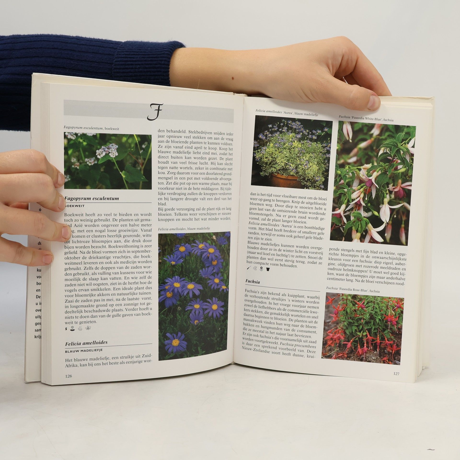 Vermeulen, N. Geillustreerde zomerbloemen encyclopedie: informatieve tekst met vele honderden schitterende kleurenfoto's