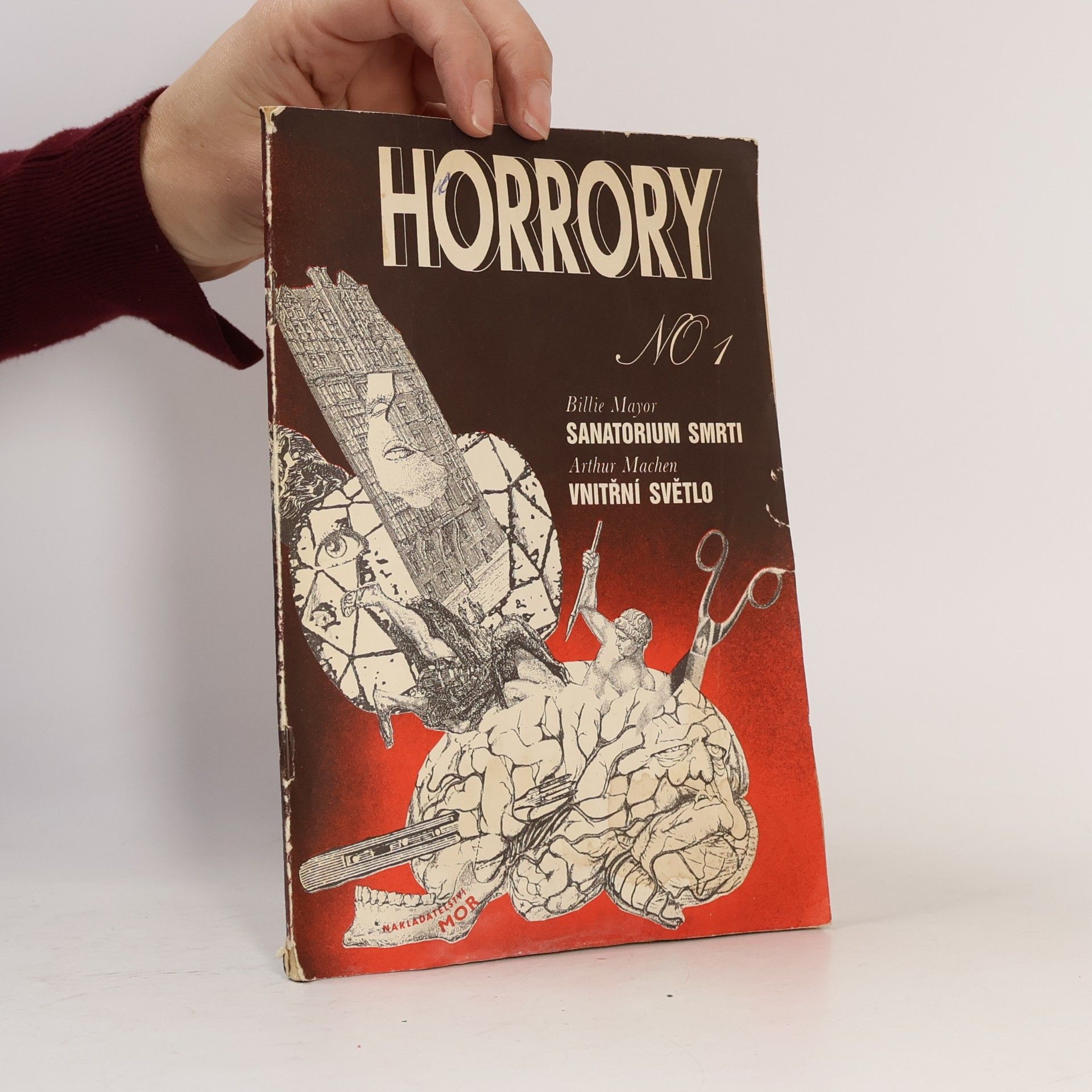 Billie Mayor Horrory No.1. Sanatorium smrti, Vnitřní světlo