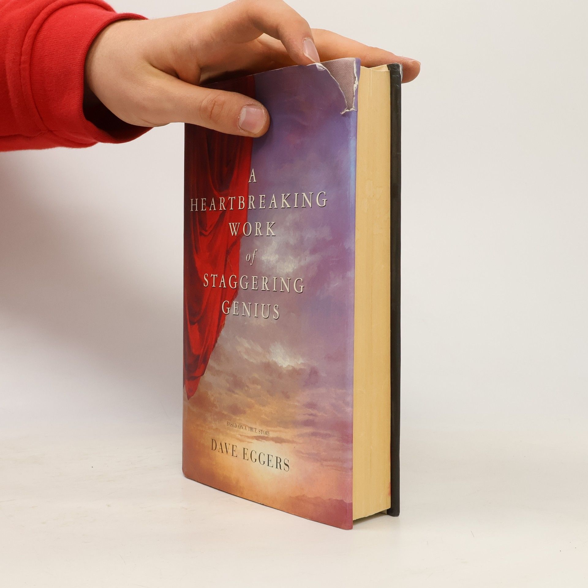 Dave Eggers A Heartbreaking Work of Staggering Genius