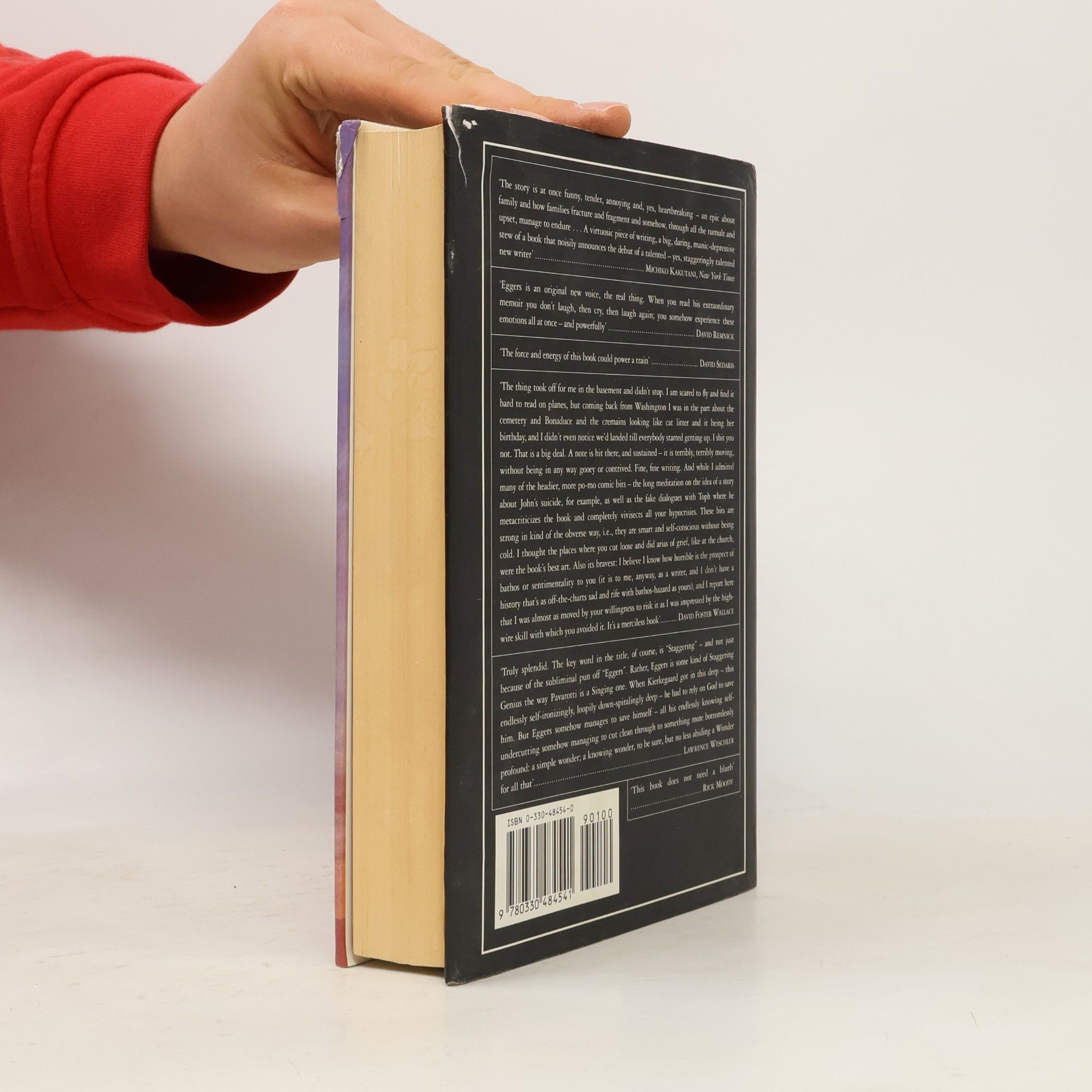 Dave Eggers A Heartbreaking Work of Staggering Genius