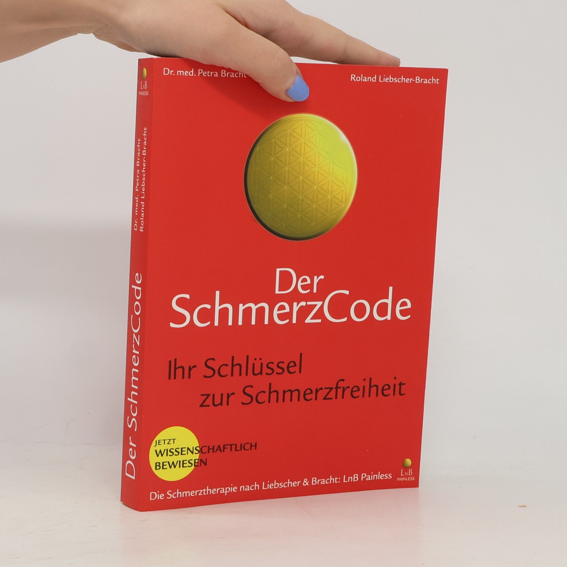 Petra Bracht Der SchmerzCode