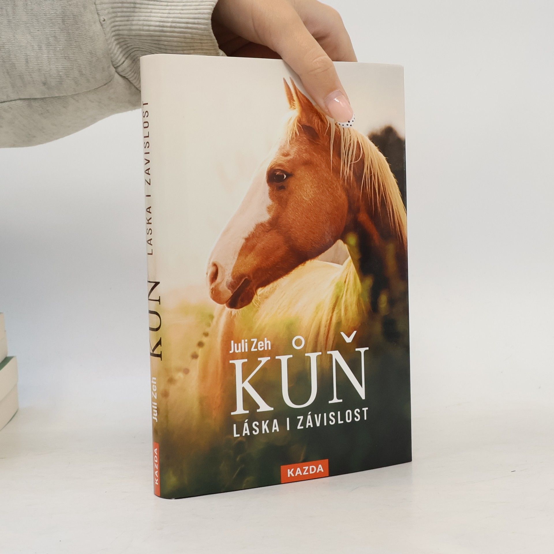 Juli Zeh Kůň : láska i závislost