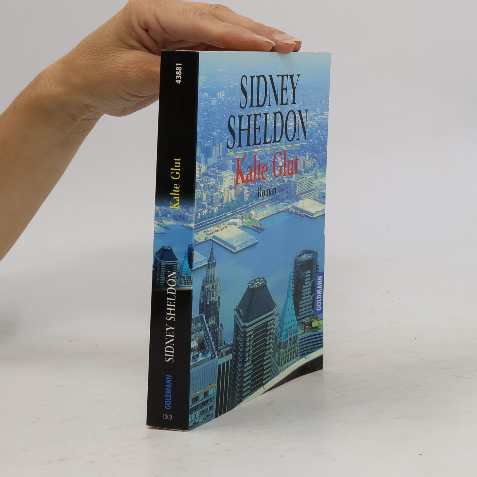 Sidney Sheldon Kalte Glut