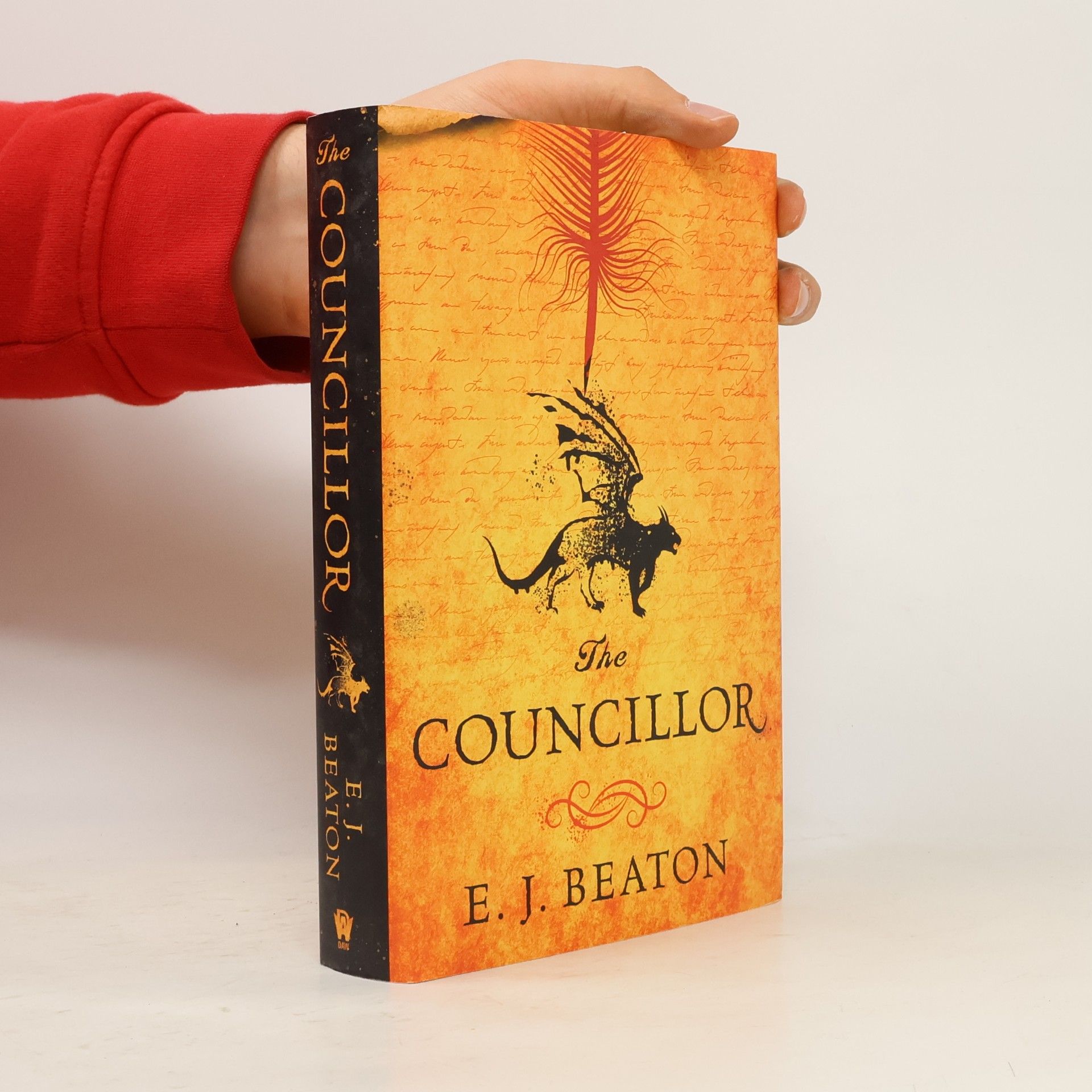 The Councillor