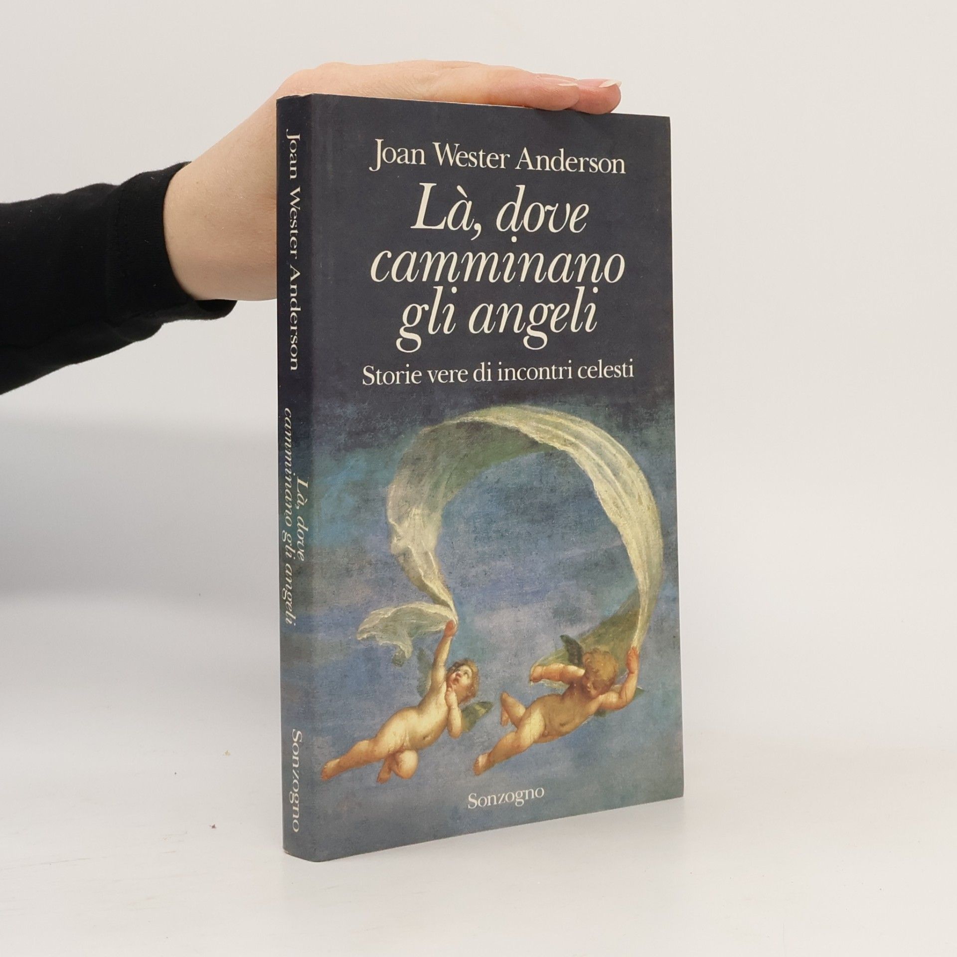 Joan Wester Anderson Là, dove camminano gli angeli. Storie vere di incontri celesti