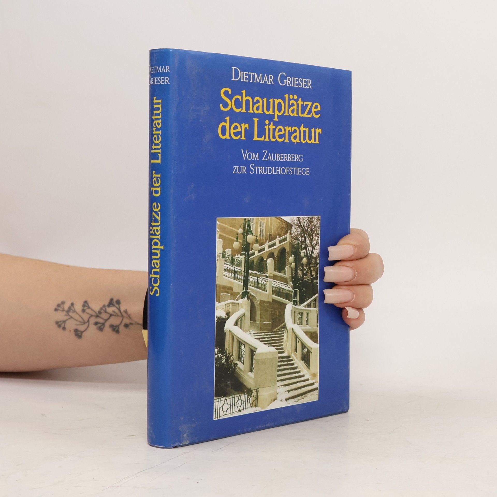 Schauplätze der Literatur vom Zauberberg zur Strudlhofstiege