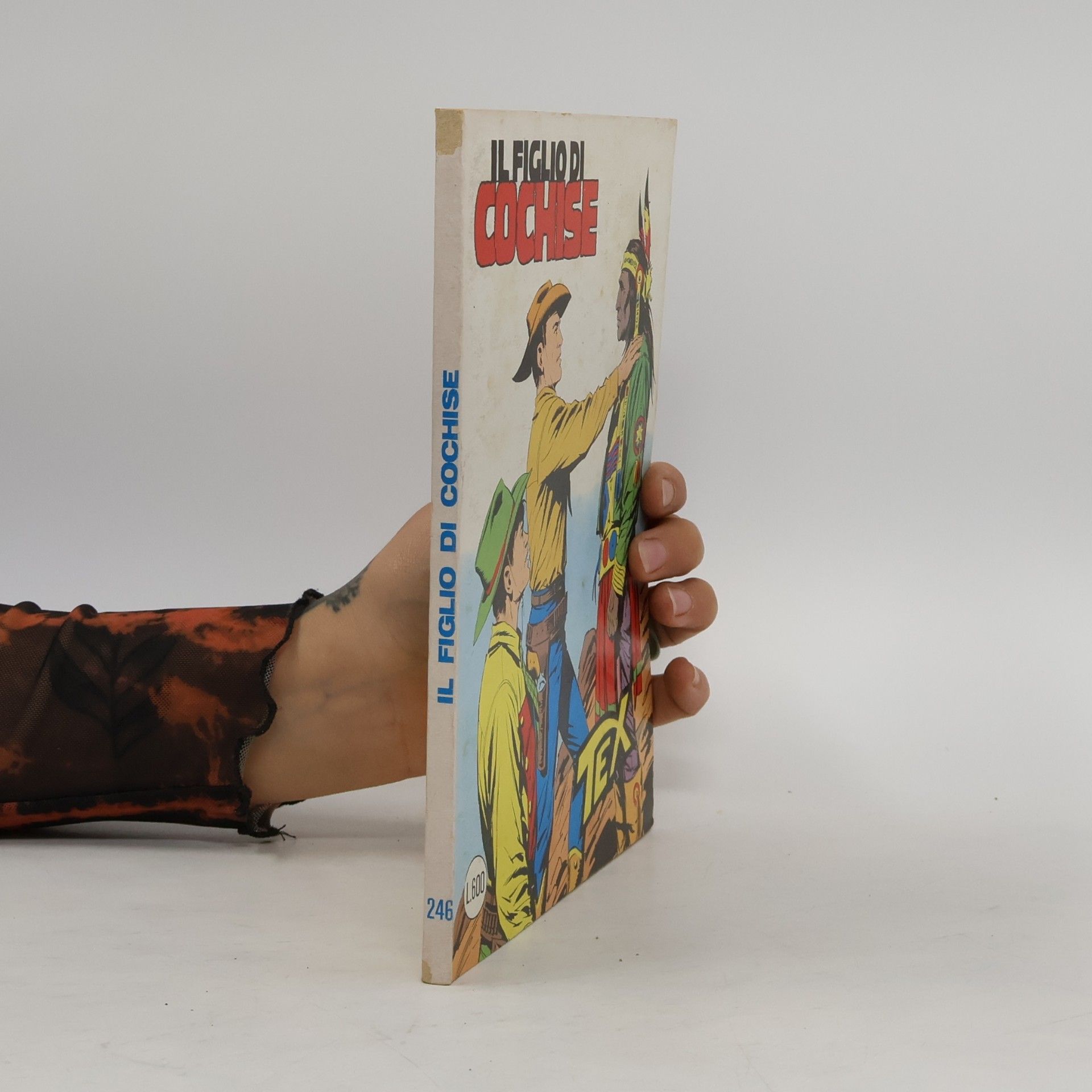 kolektiv Il figlio di Cochise