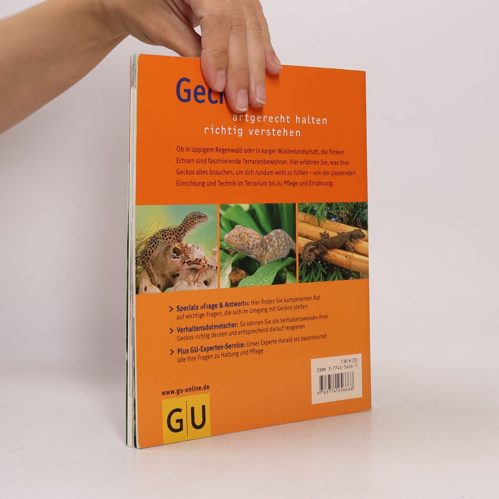 Herald Jes Geckos