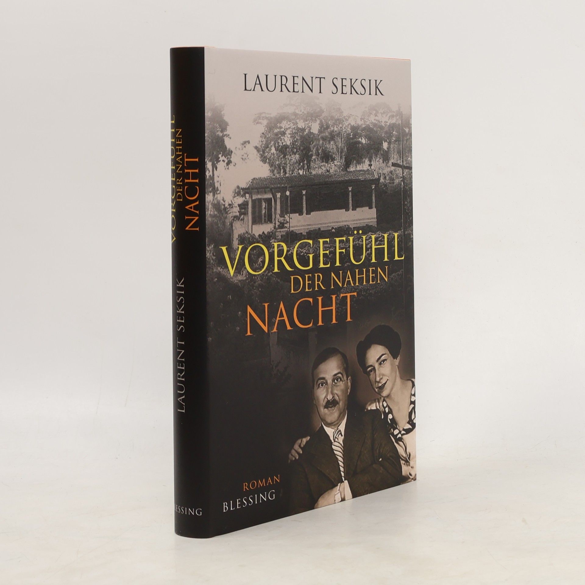 Laurent Seksik Vorgefühl der nahen Nacht