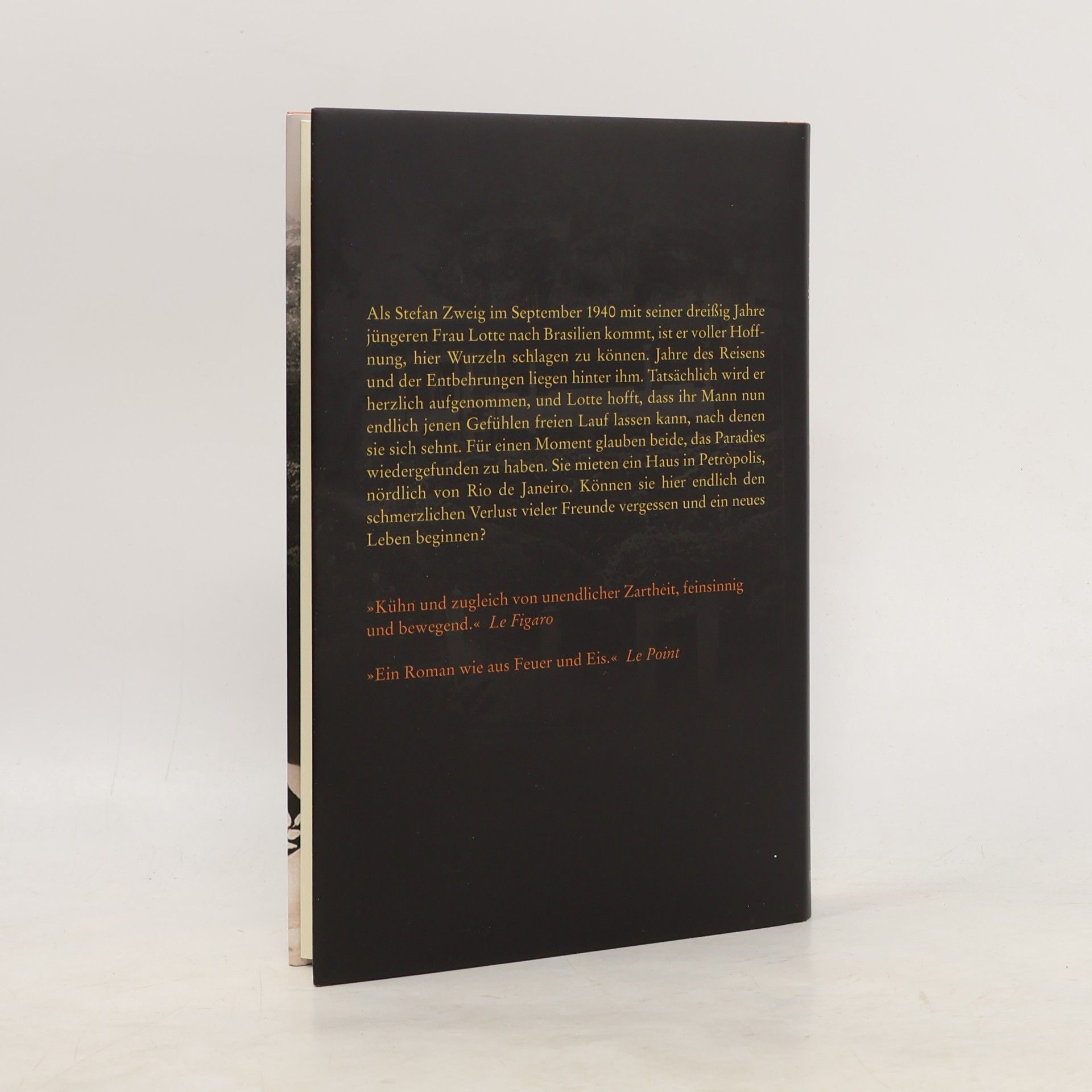 Laurent Seksik Vorgefühl der nahen Nacht