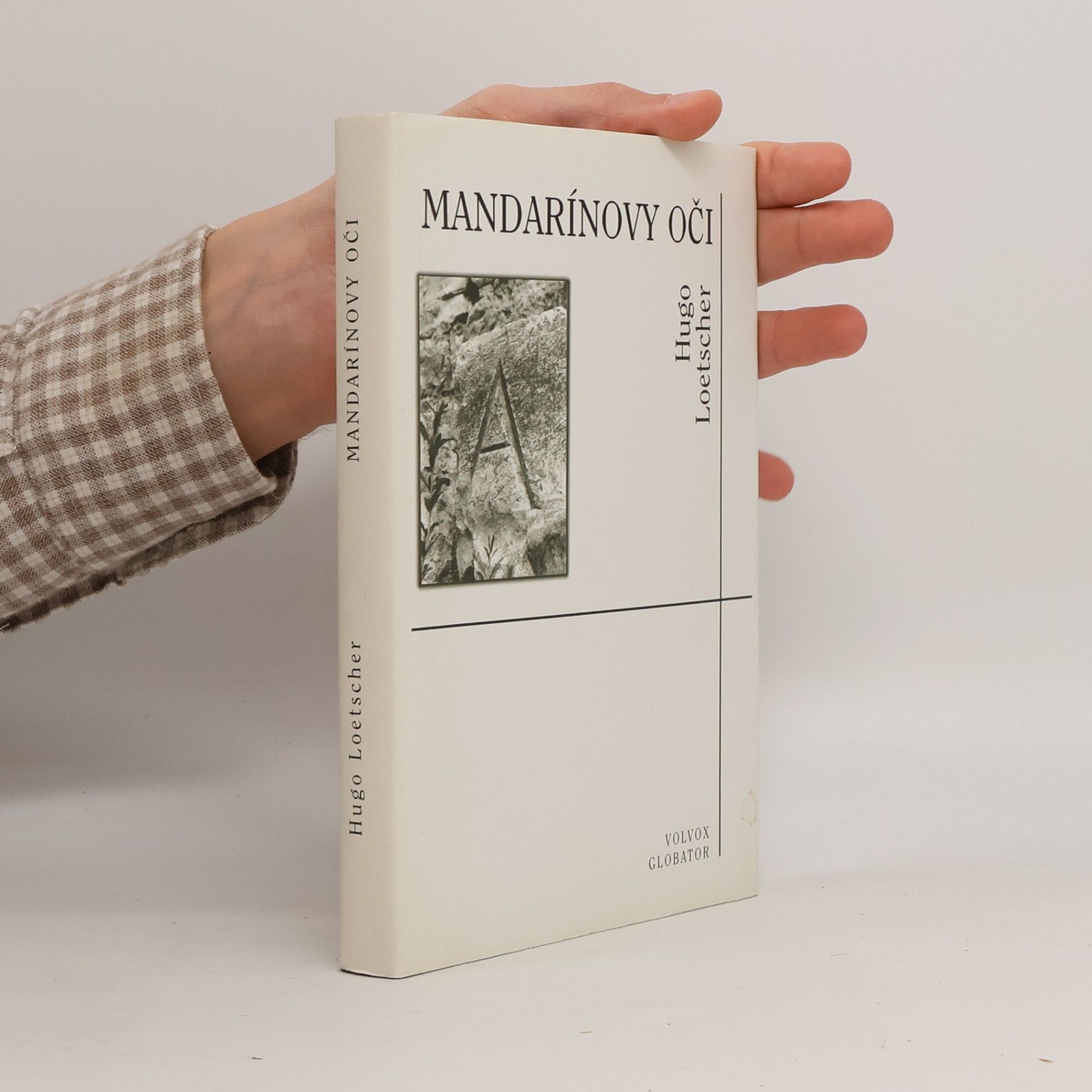 Hugo Loetscher Mandarínovy oči
