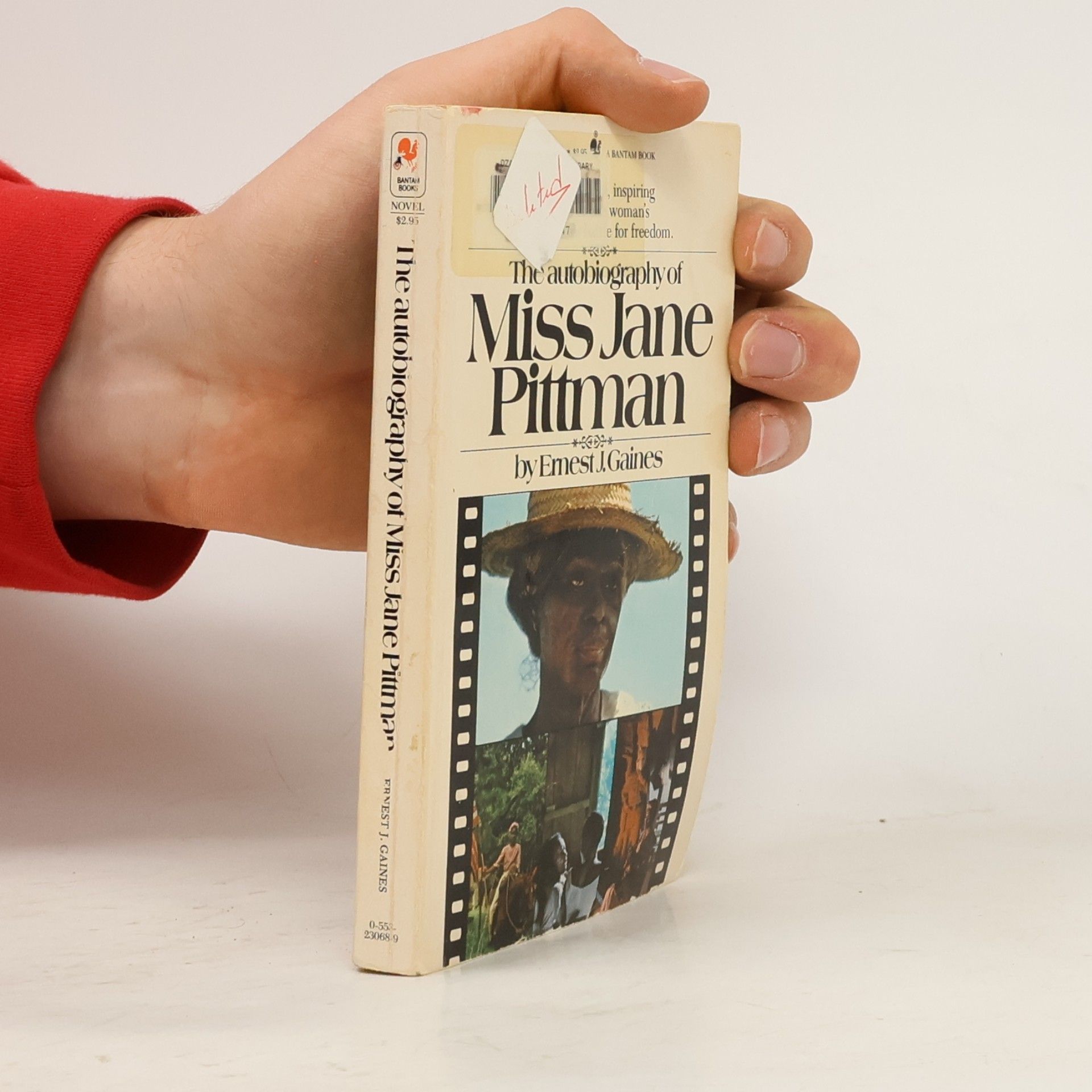 The Autobiography of Miss Jane Pittman