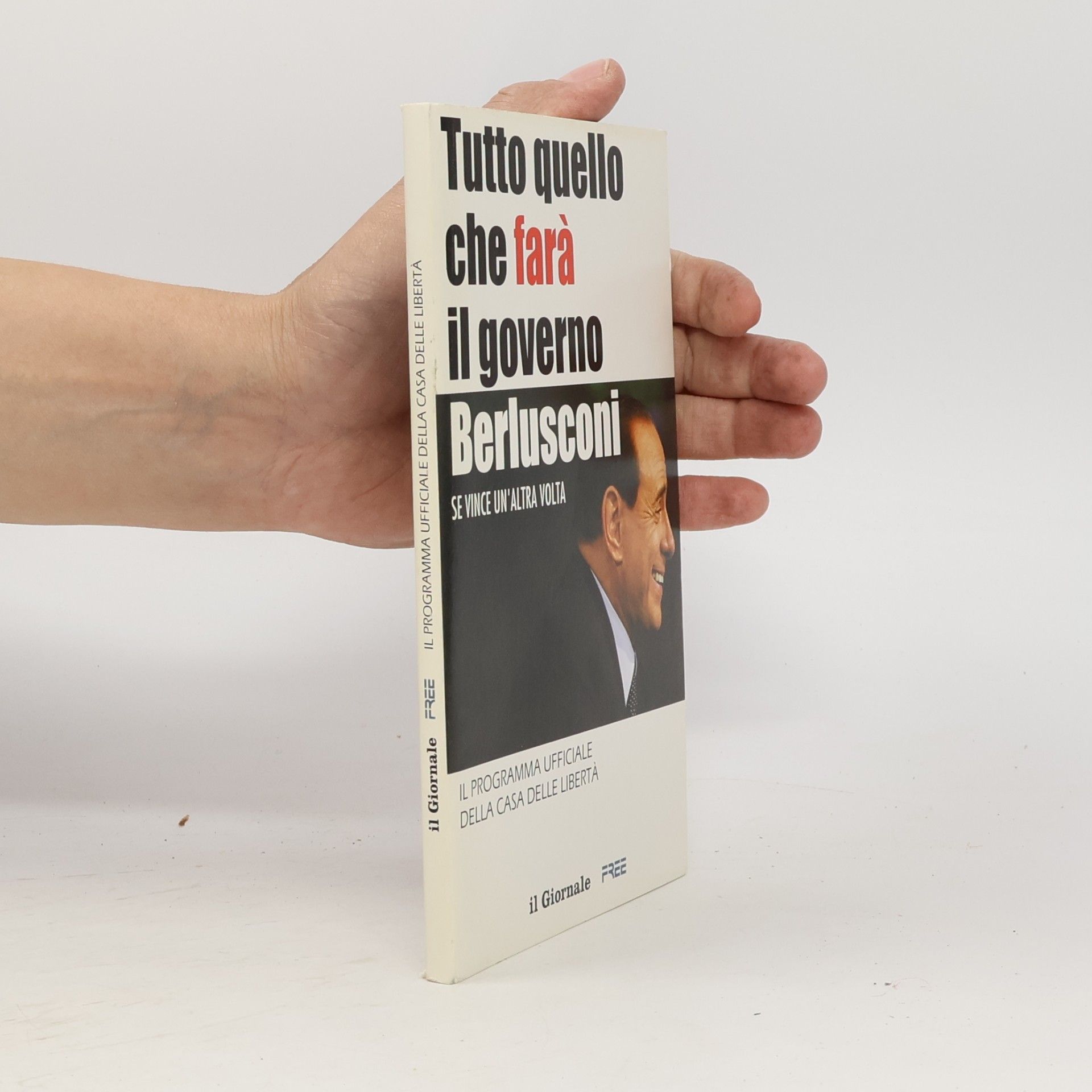 Tutto quello che farà il governo Berlusconi