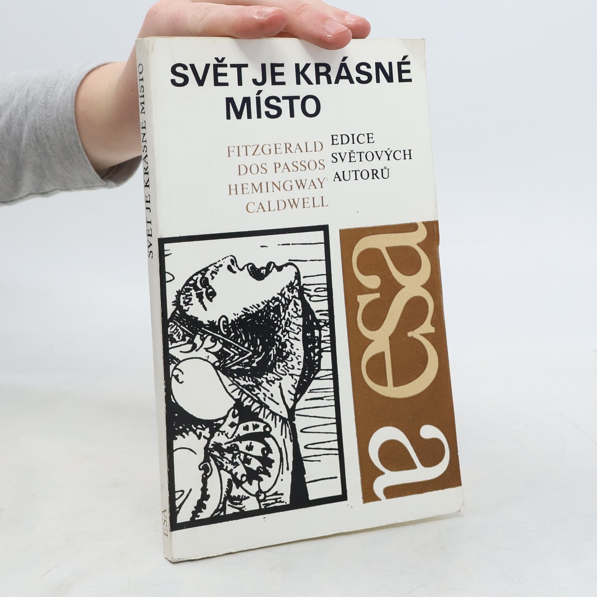 Kolektiv autorů Svět je krásné místo