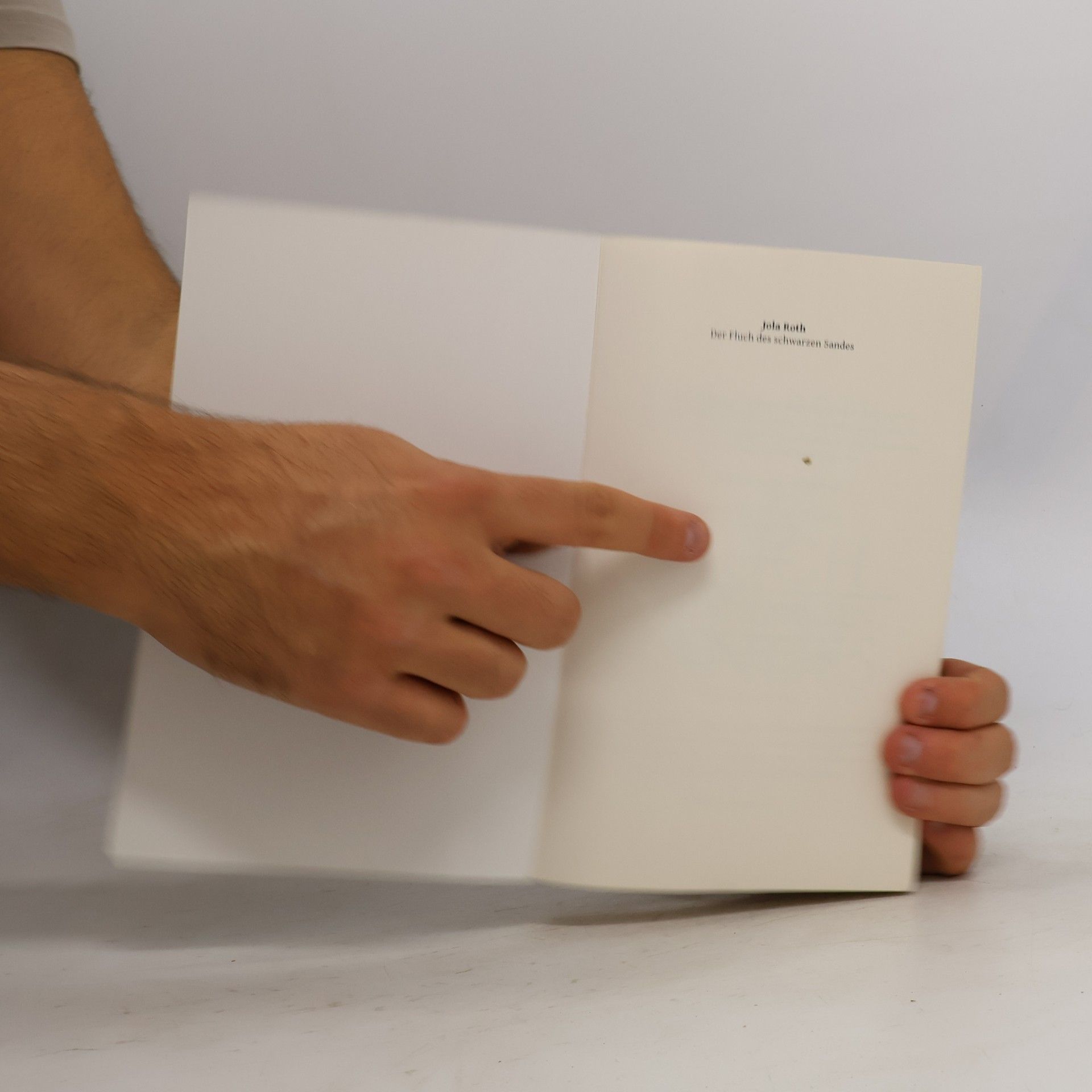 Jola Roth Der Fluch des schwarzen Sandes