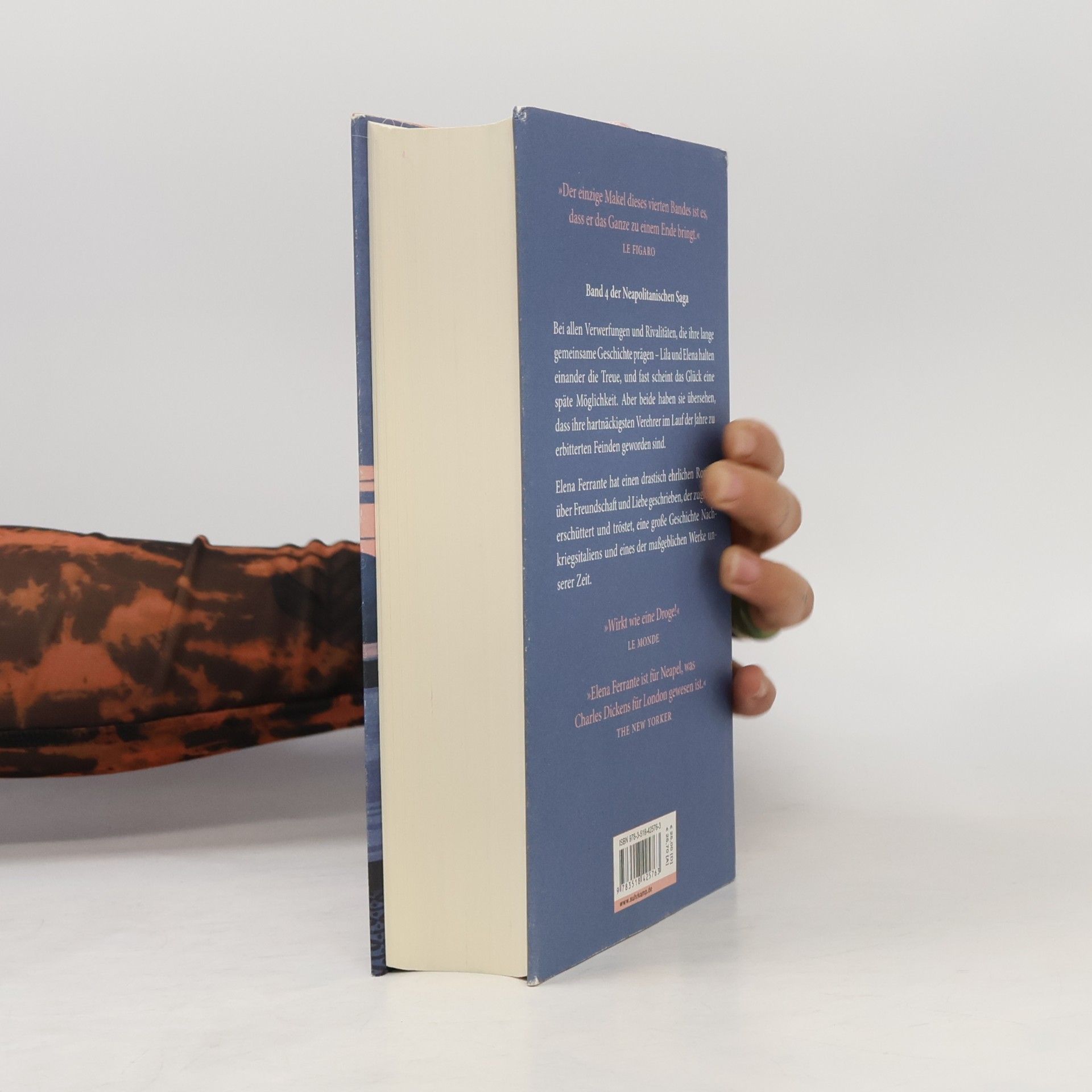 Elena Ferrante Die Geschichte Des Verlorenen Kindes