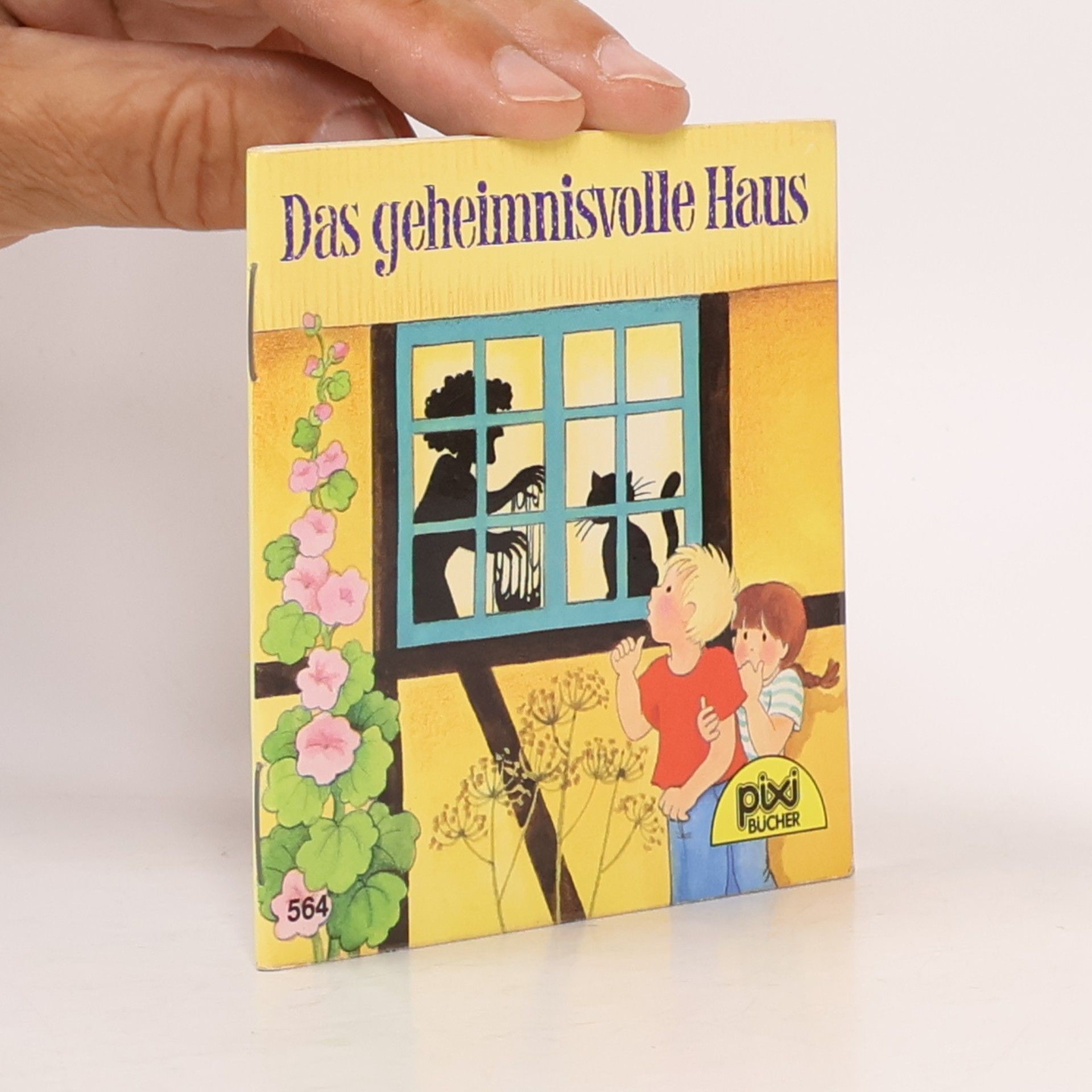 Anne-Marie Constant Das geheimnisvolle Haus