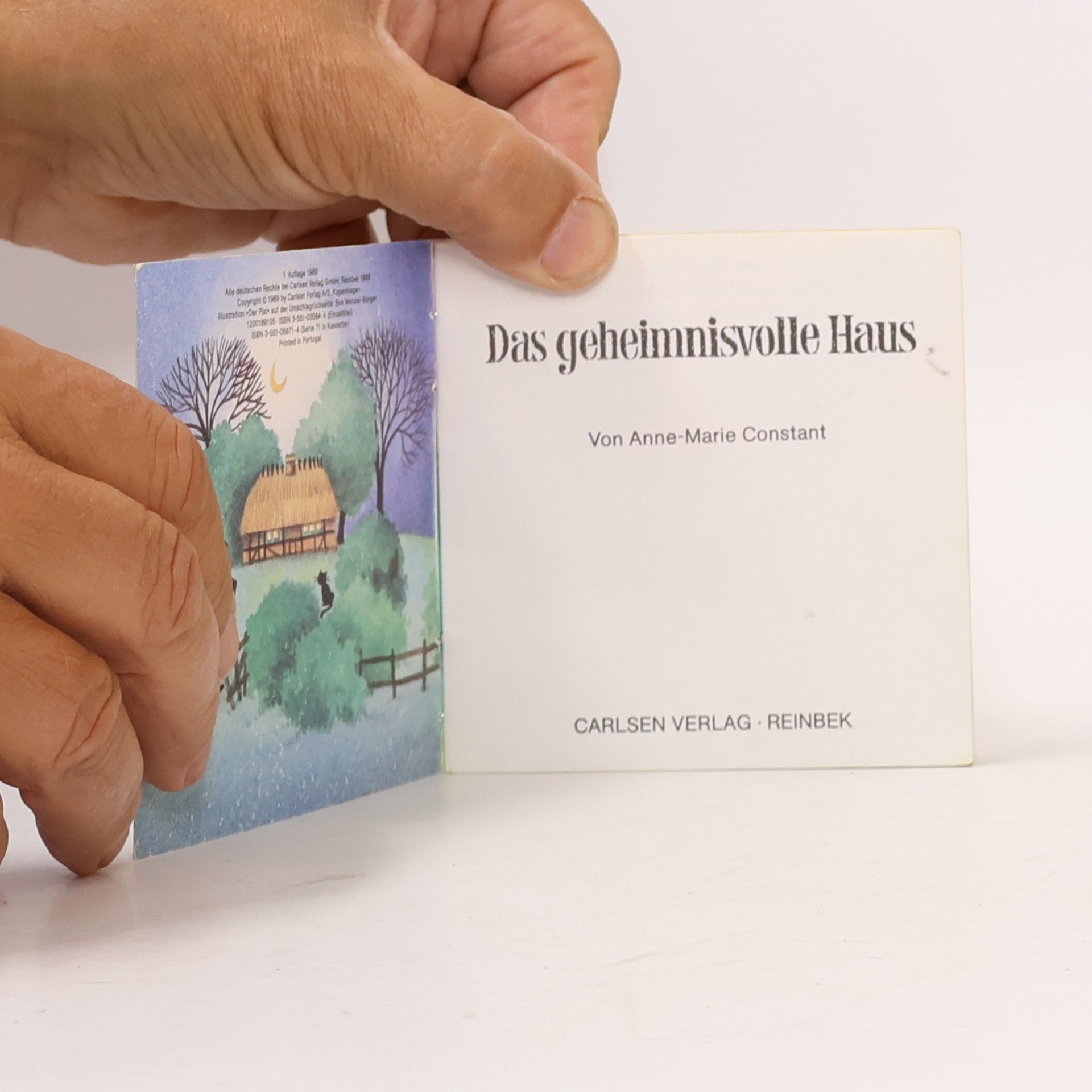 Anne-Marie Constant Das geheimnisvolle Haus