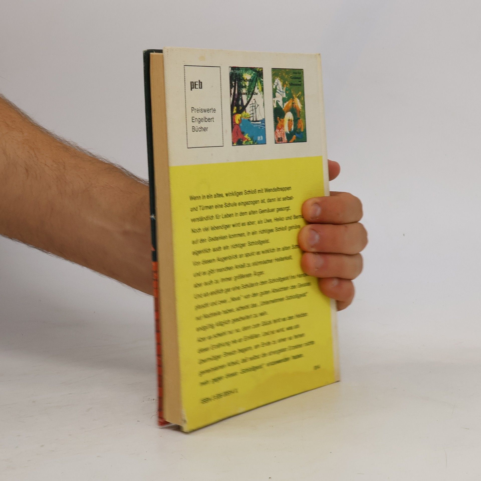 Hans-Georg Noack Der Schlossgeist