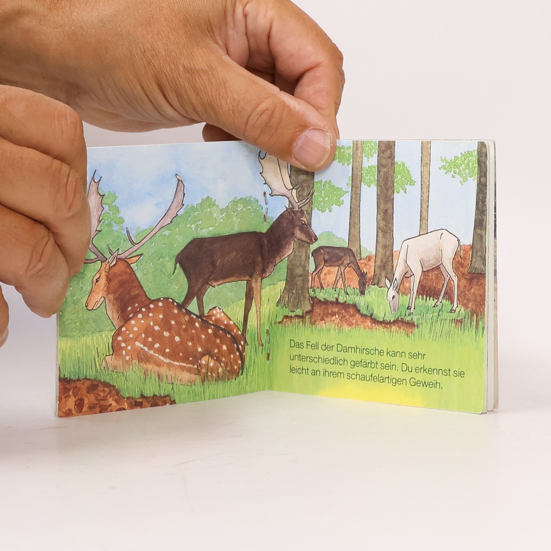 Robert Tyler Stevens Pixi Bücher - 494: Tiere im Wildpark
