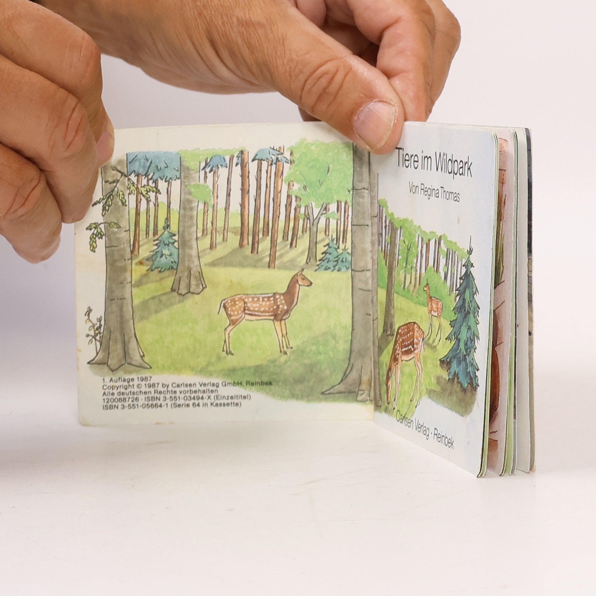 Robert Tyler Stevens Pixi Bücher - 494: Tiere im Wildpark
