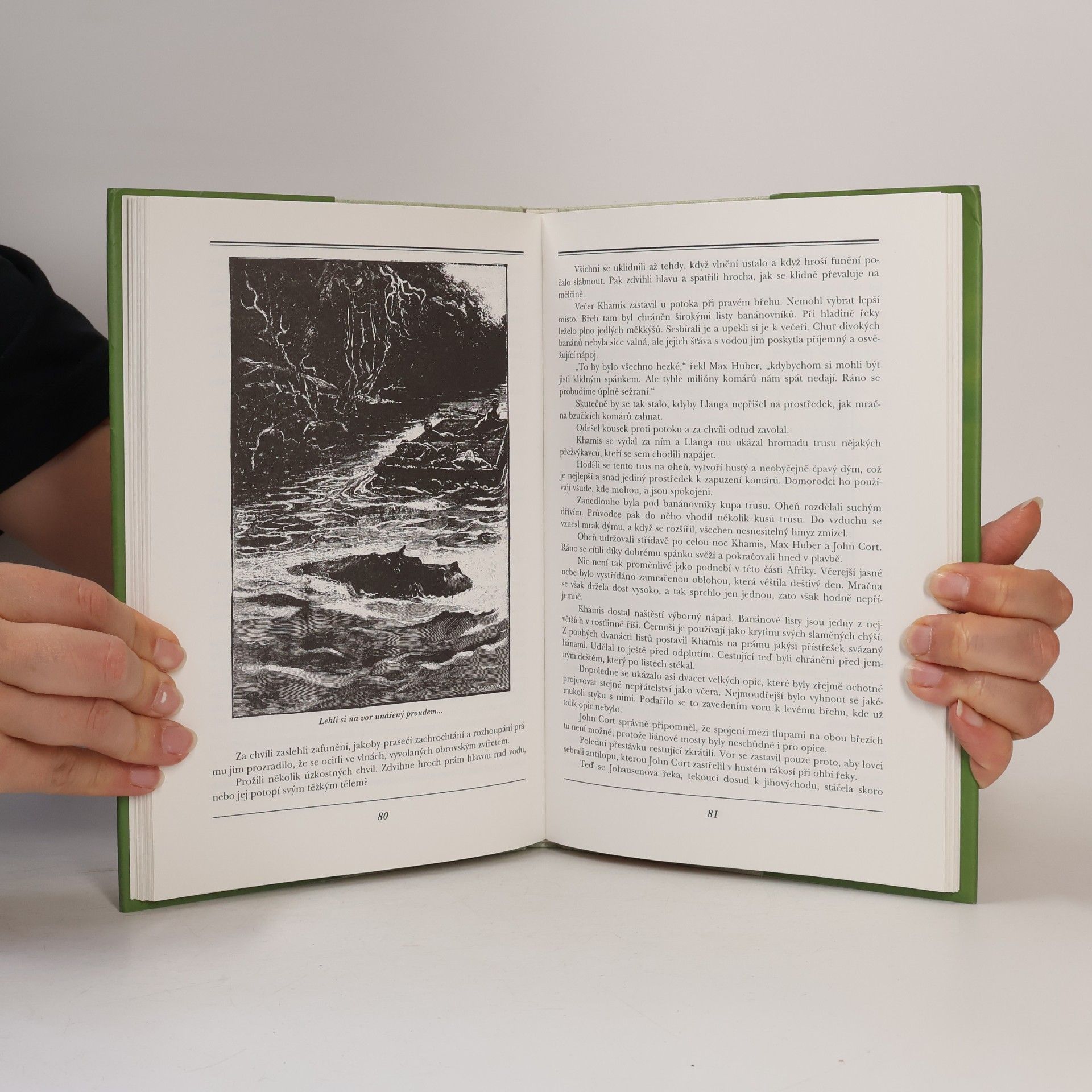 Jules Verne Podivuhodné setkání v džungli