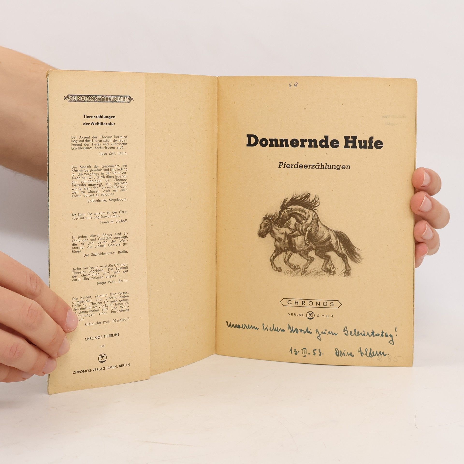 kolektiv Donnernde Hufe