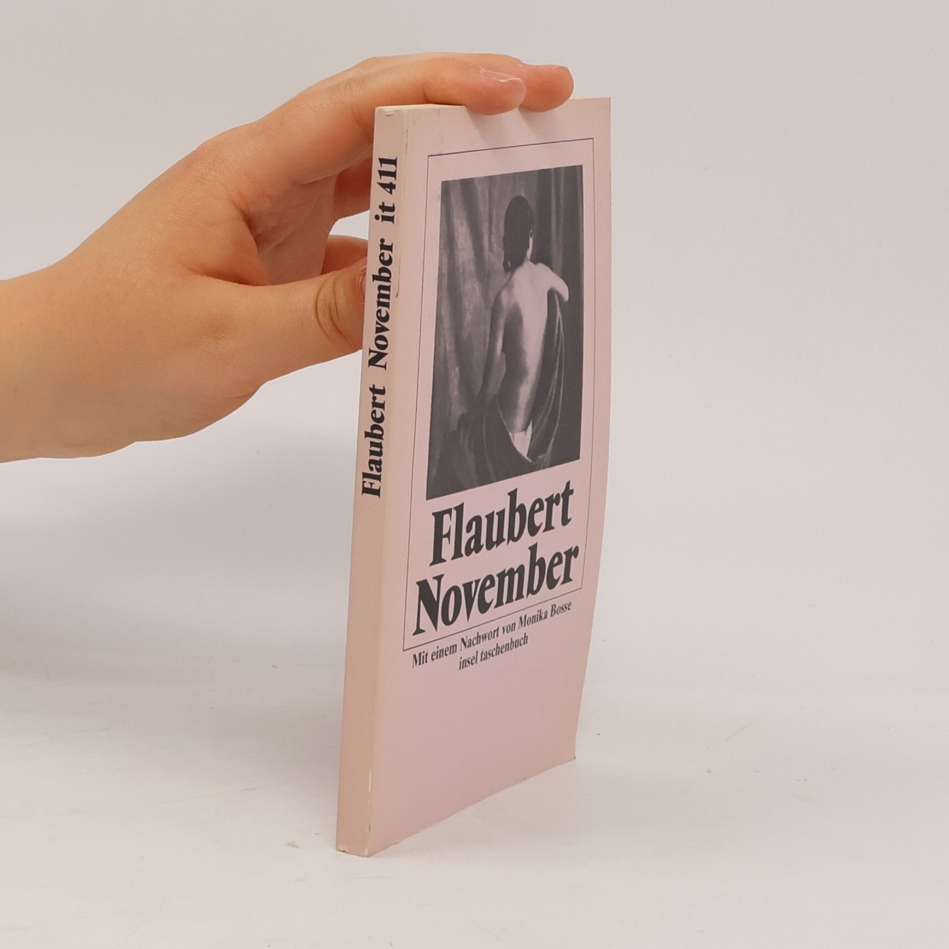 Gustave Flaubert November