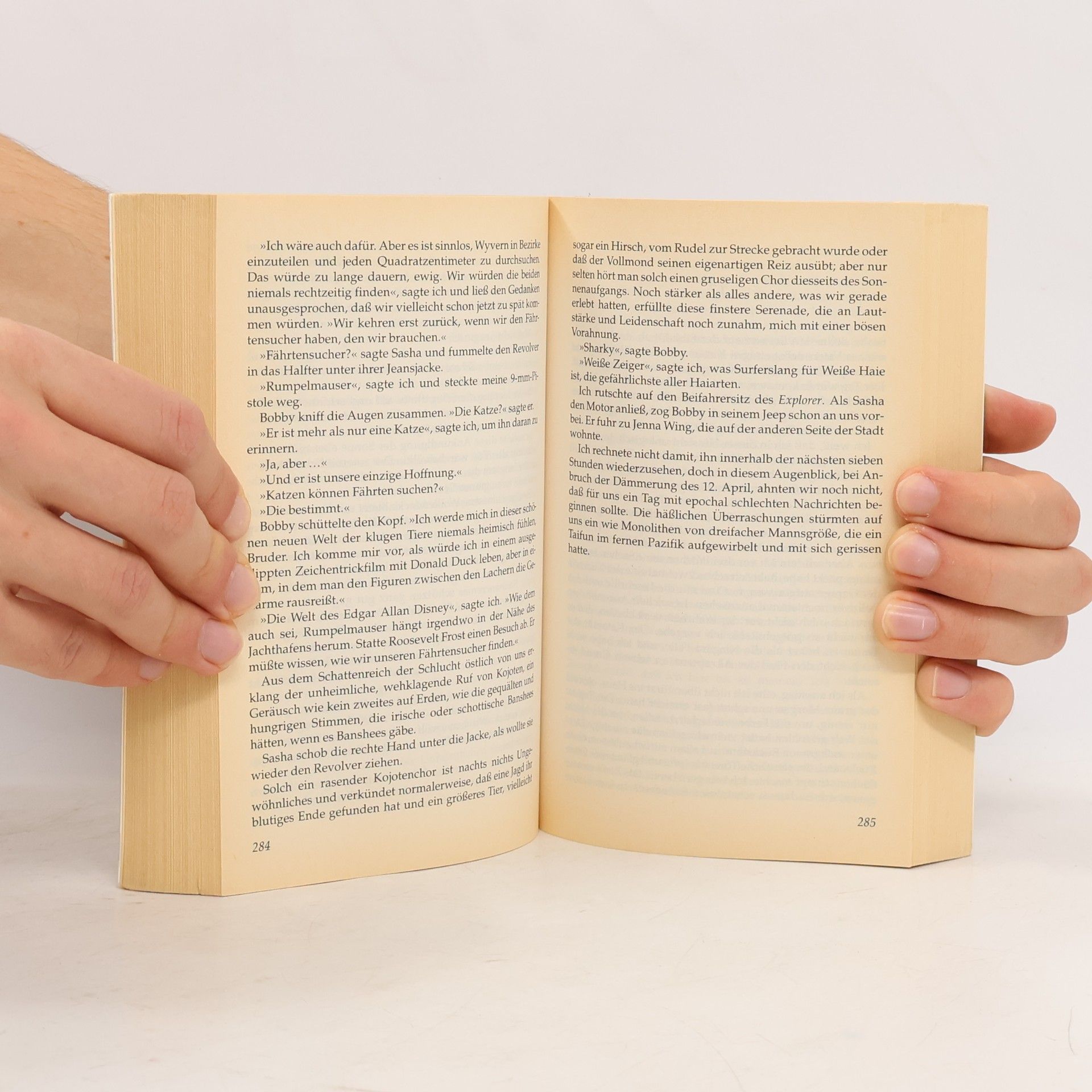 Dean Ray Koontz Im Bann der Dunkelheit