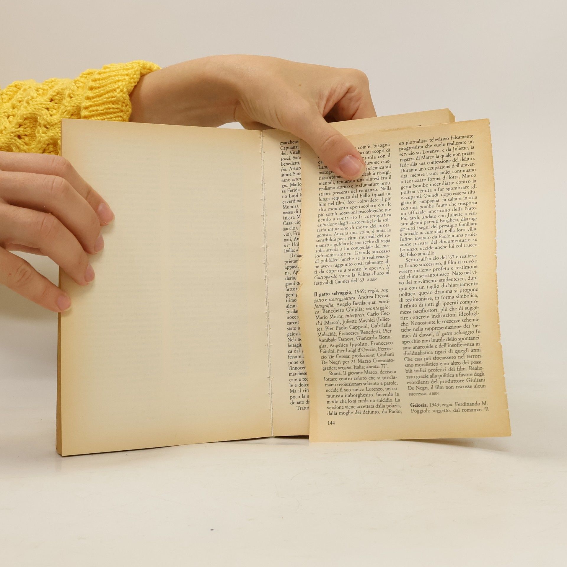 Fernaldo Di Giammatteo Dizionario del cinema italiano