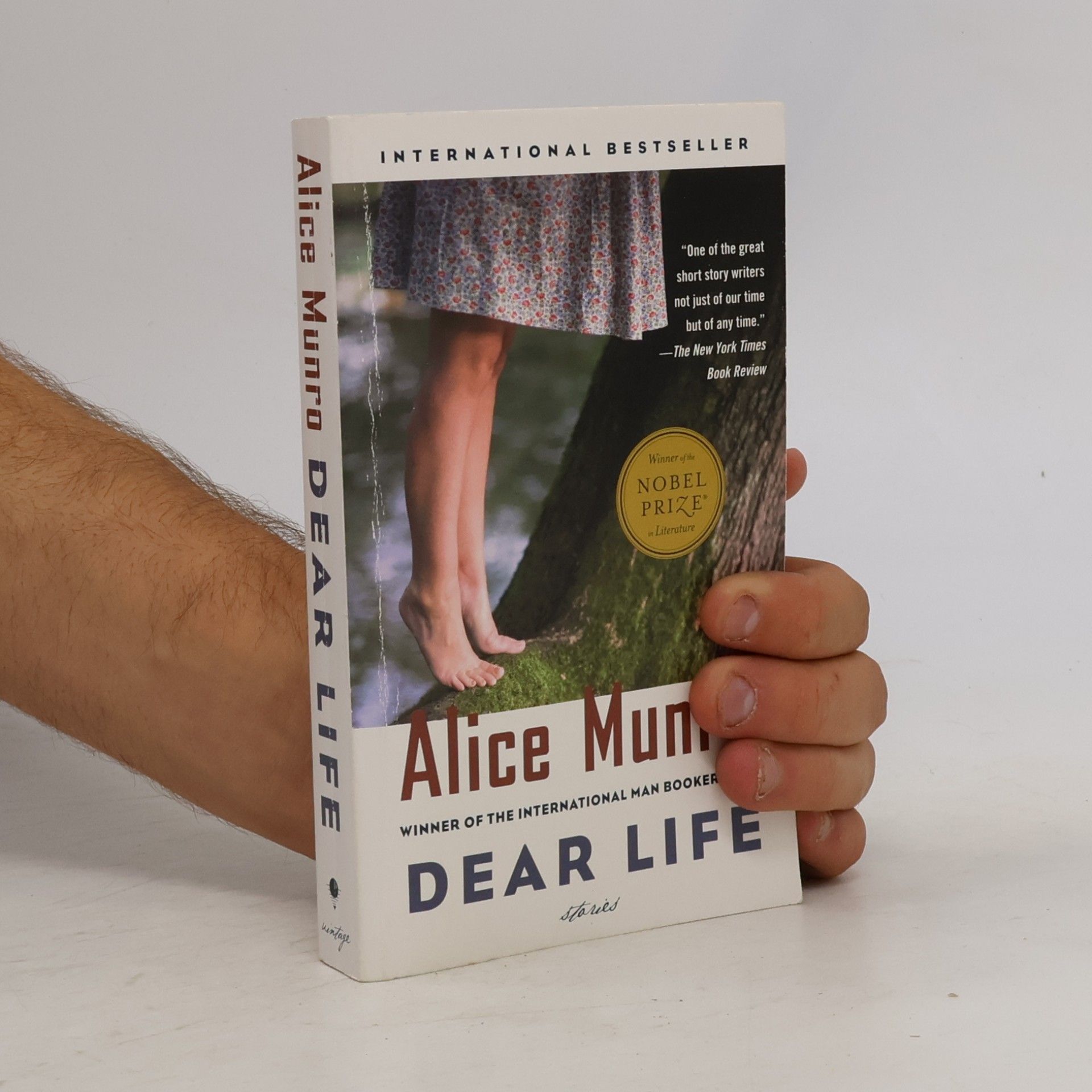 Alice Munro Dear Life