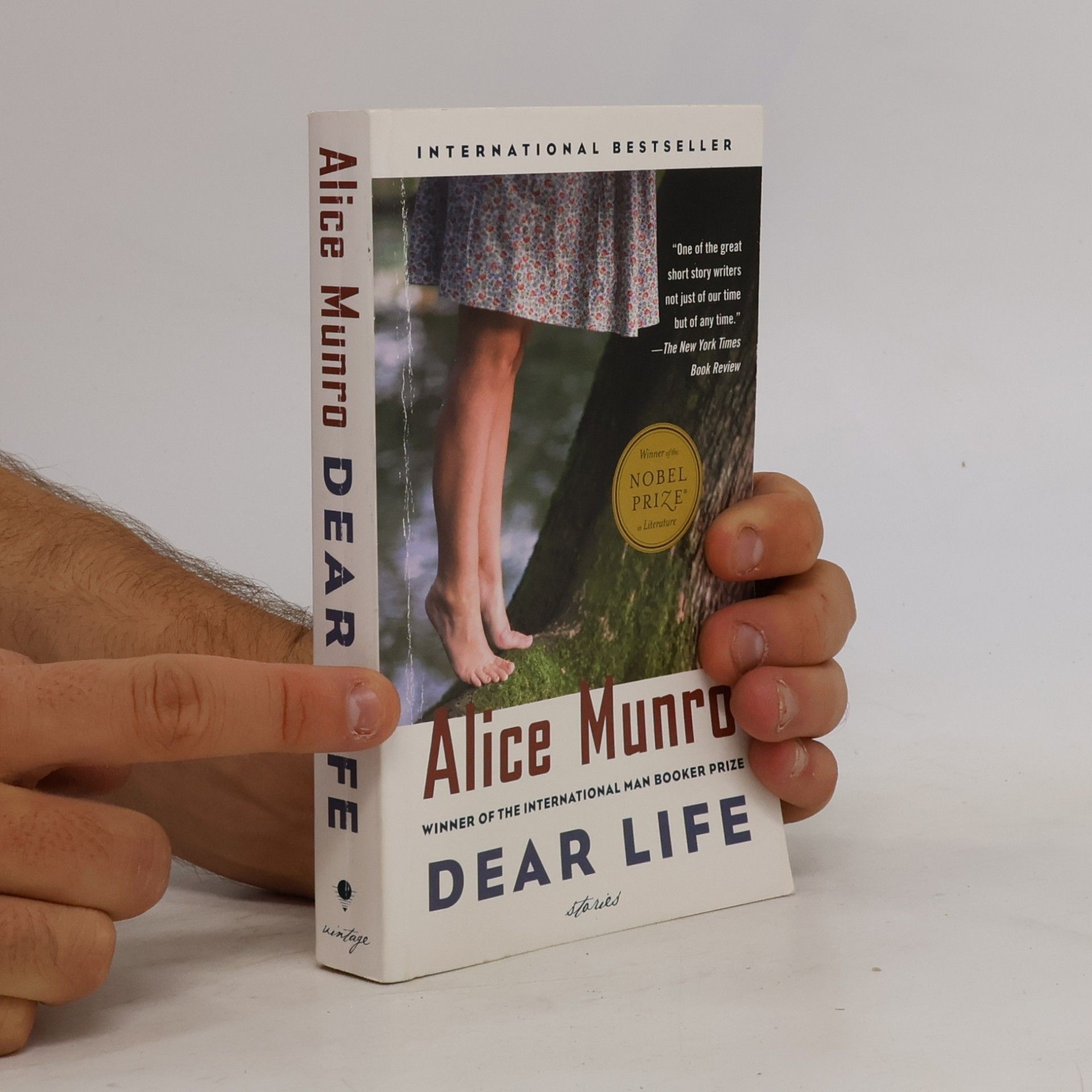 Alice Munro Dear Life