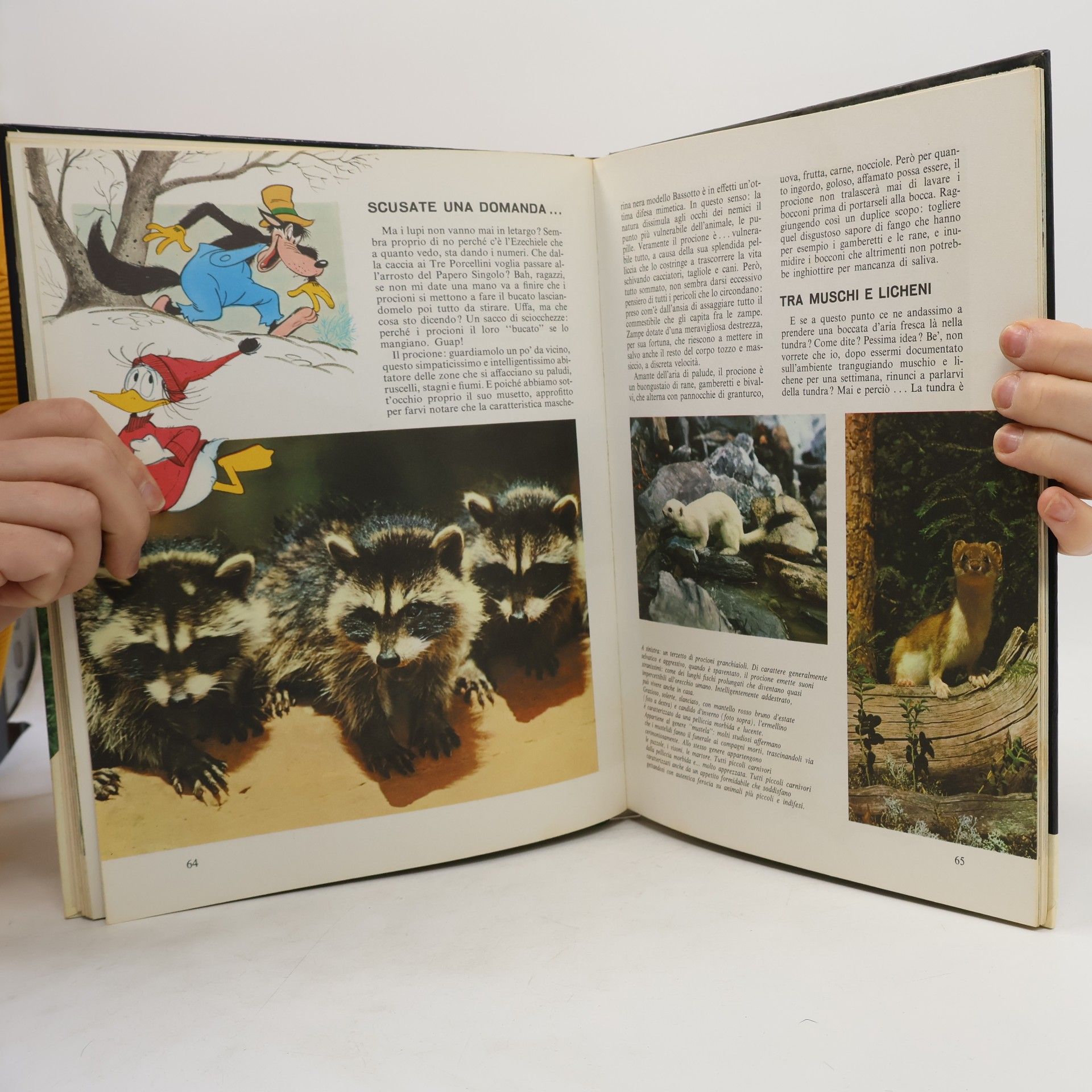 kolektiv Enciclopedia Disney: Animali