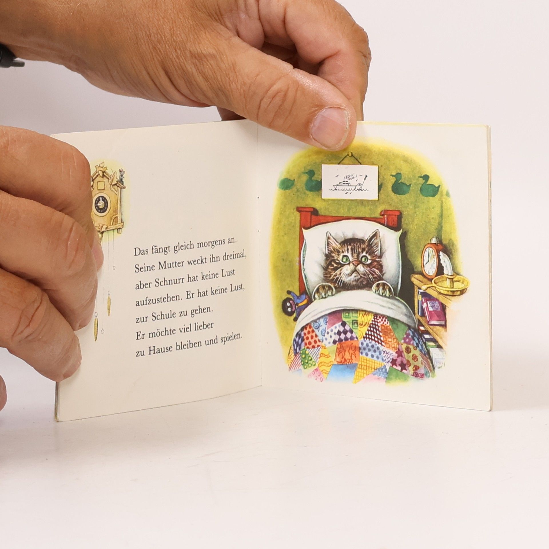 Anna Pixi Buch - 11: Der kleine Kater Schnurr