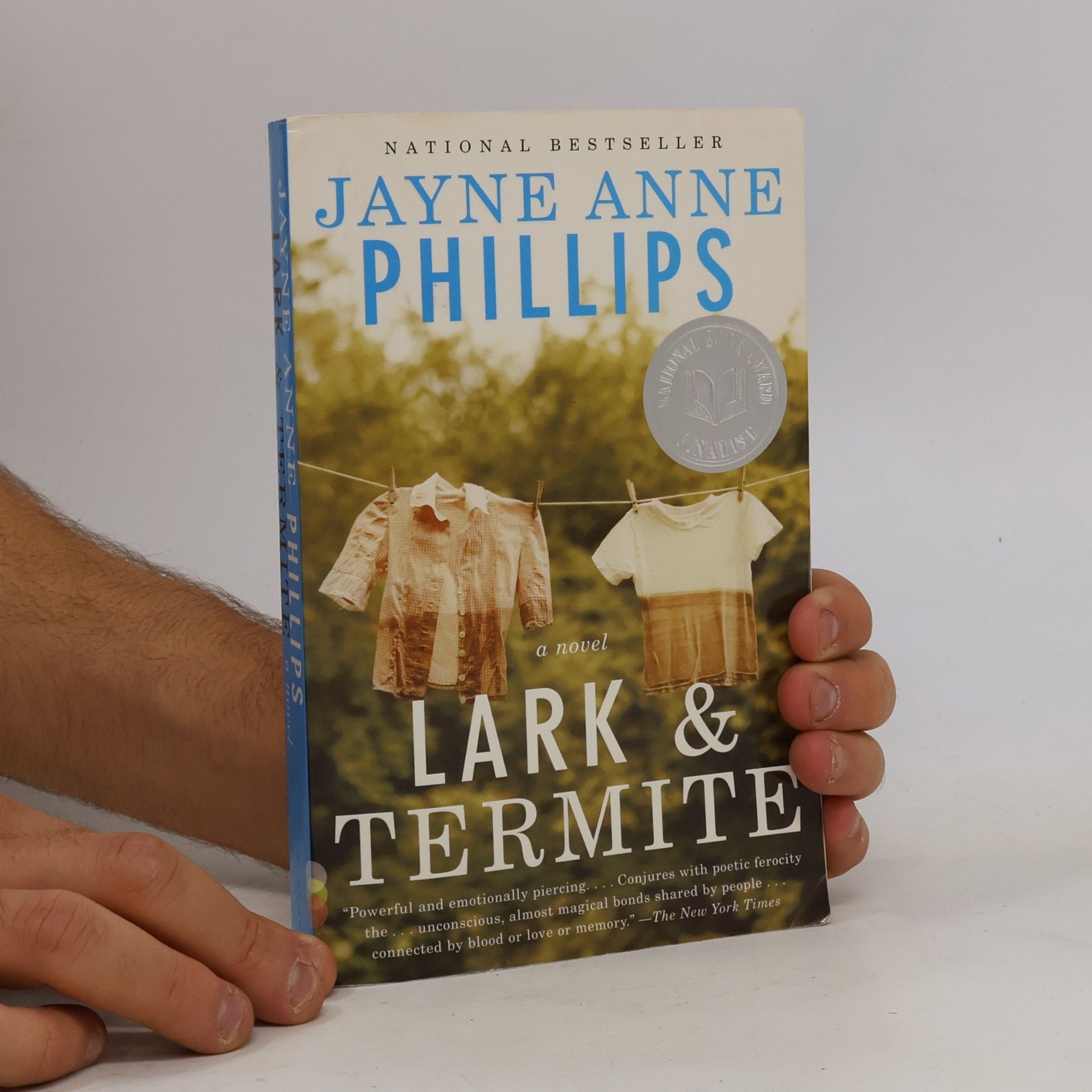 Jayne Anne Phillips Lark and Termite