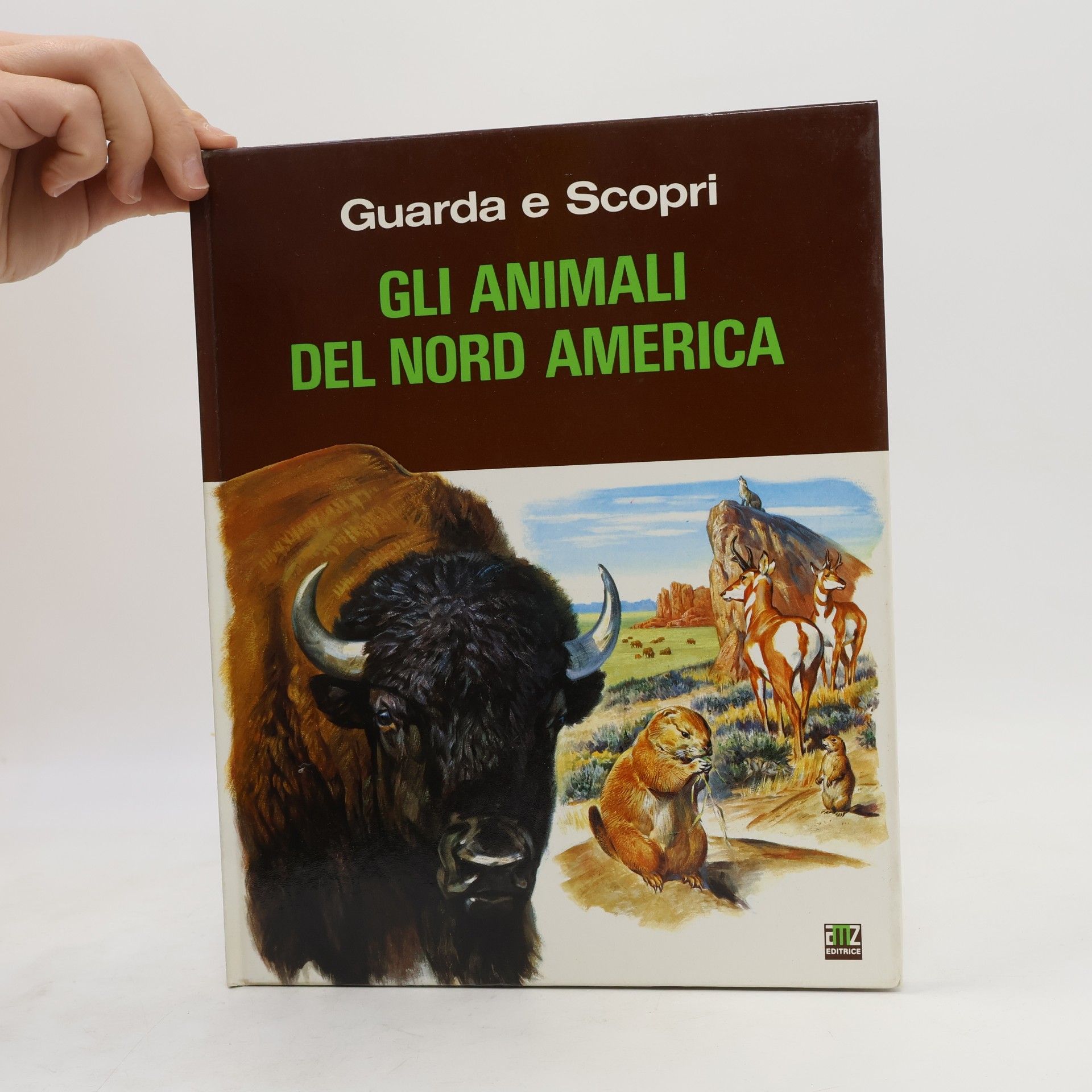 kolektiv Gli animali del nord america