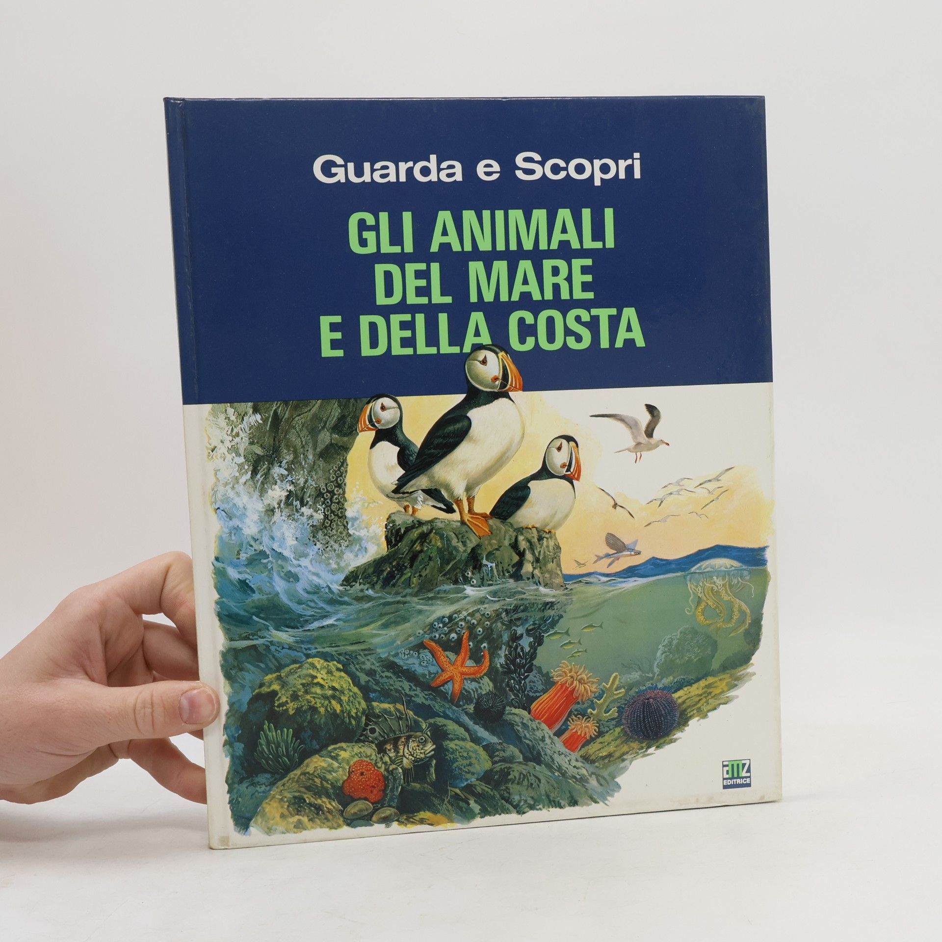 Gli animali del mare e della costa