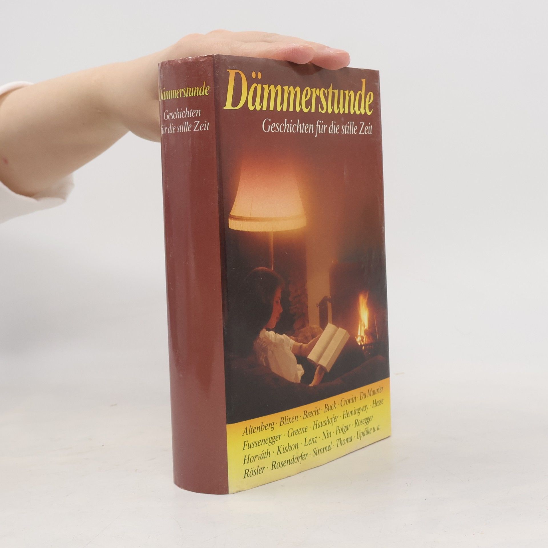 Kolektiv autorů Dämmerstunde