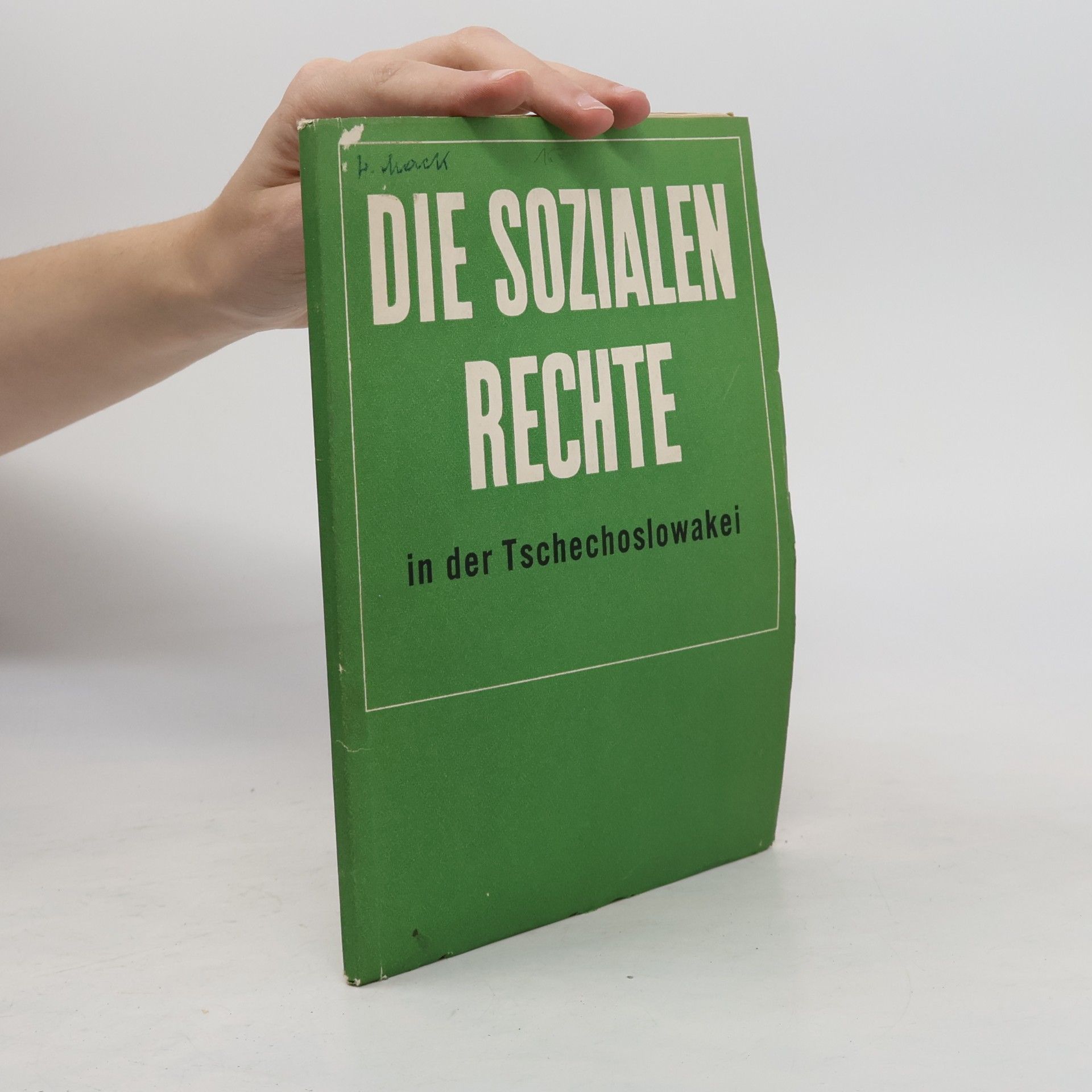 Die sozialen rechte