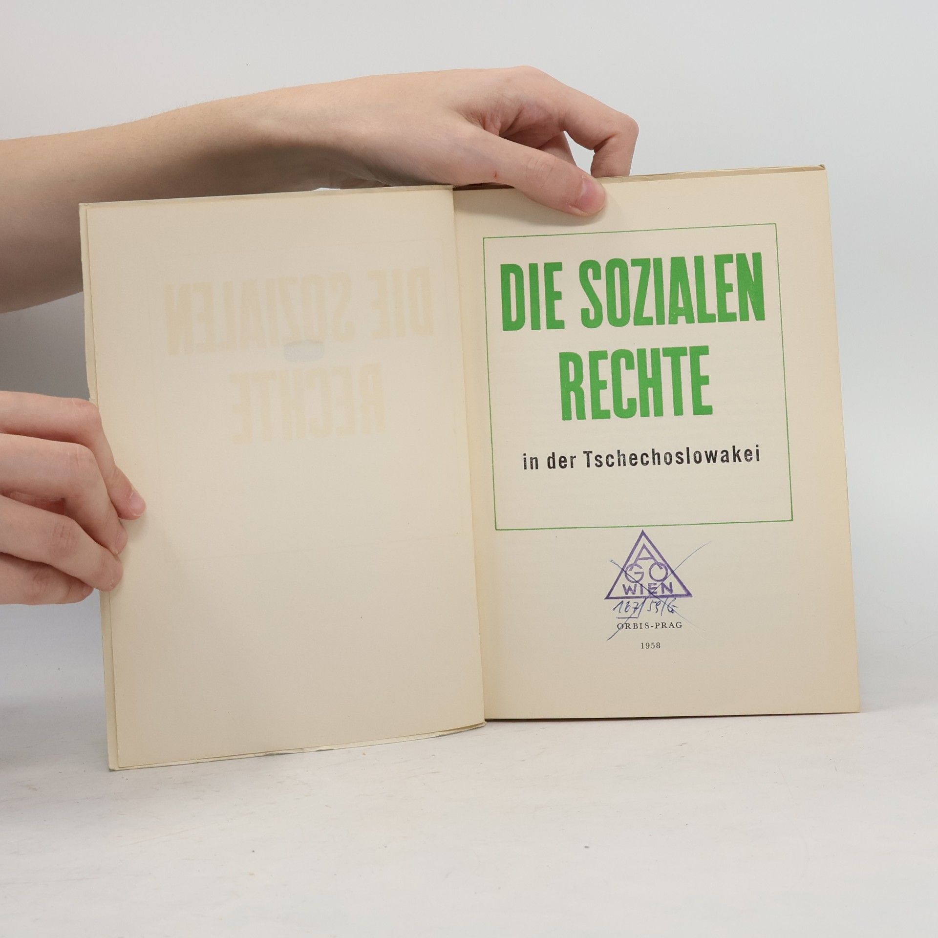 Pavel Steinbach Die sozialen rechte
